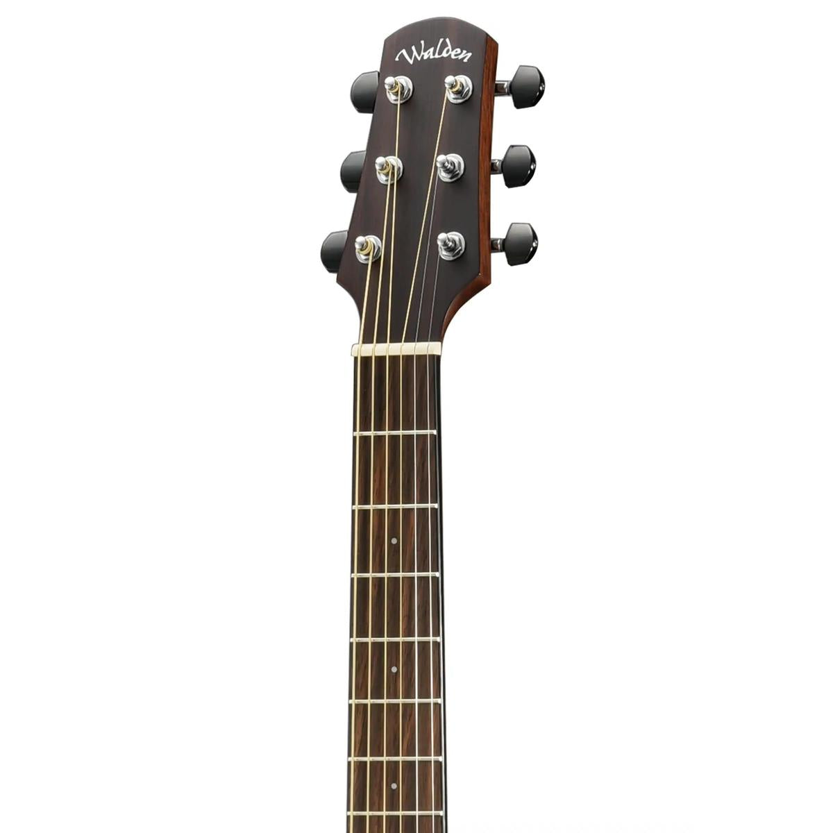 Walden-D740E-Dreadnought-Guitar3 | Terry Carter Music Store