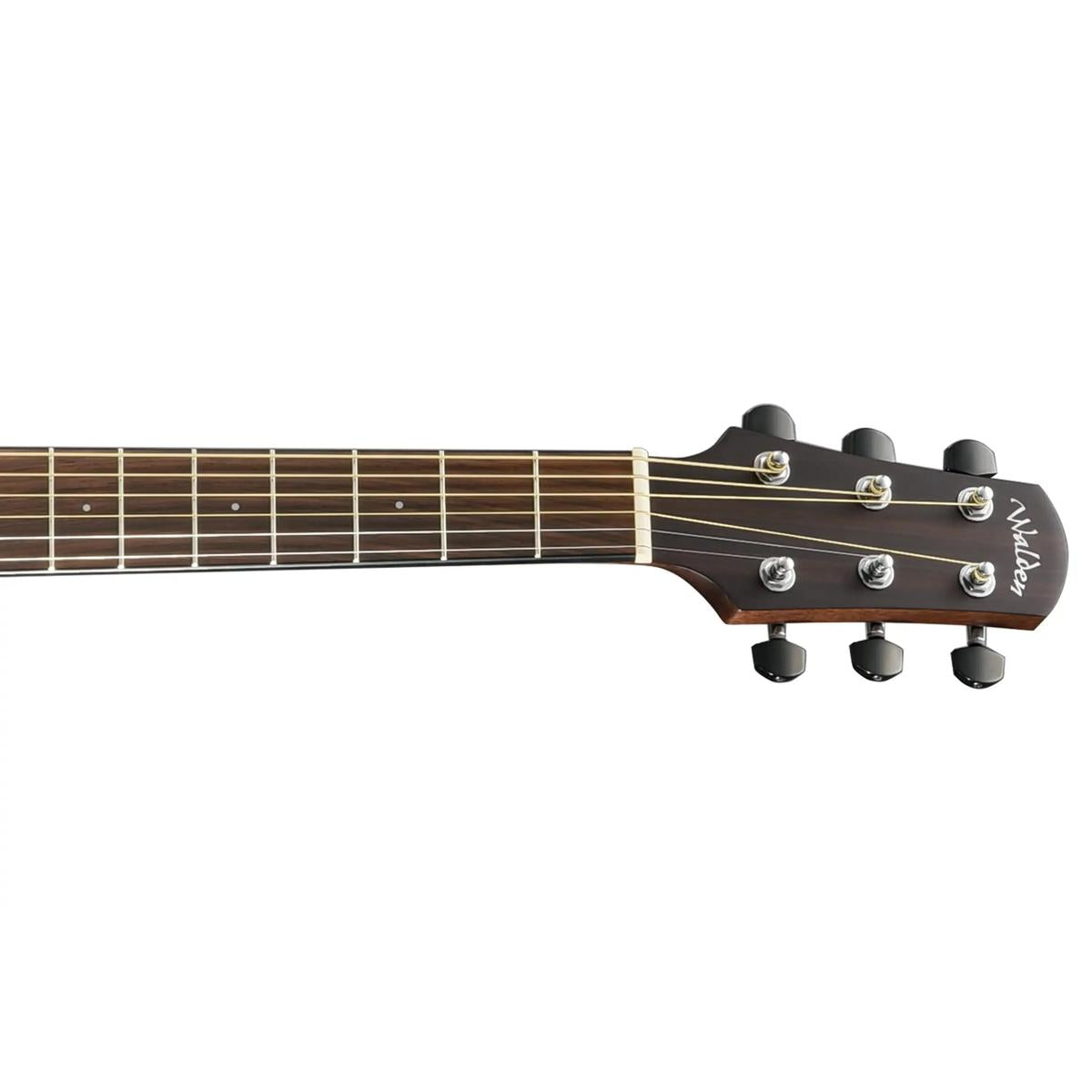 Walden-D800E-Dreadnought-Guitar3 | Terry Carter Music Store