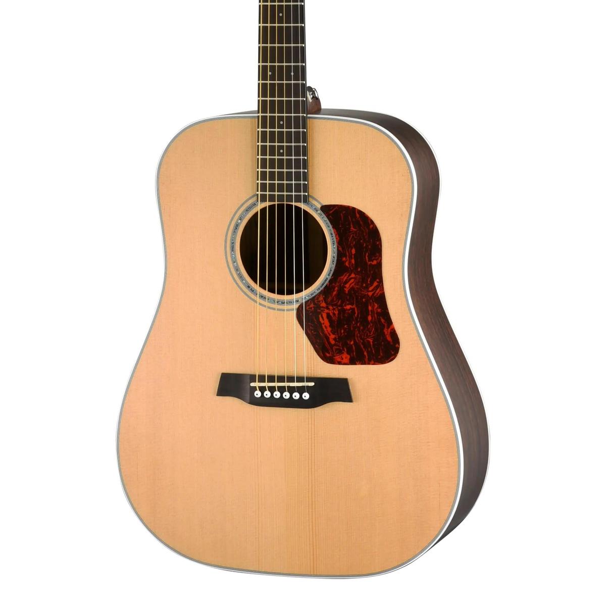 Walden-D803E-Dreadnought-Guitar5 | Terry Carter Music Store