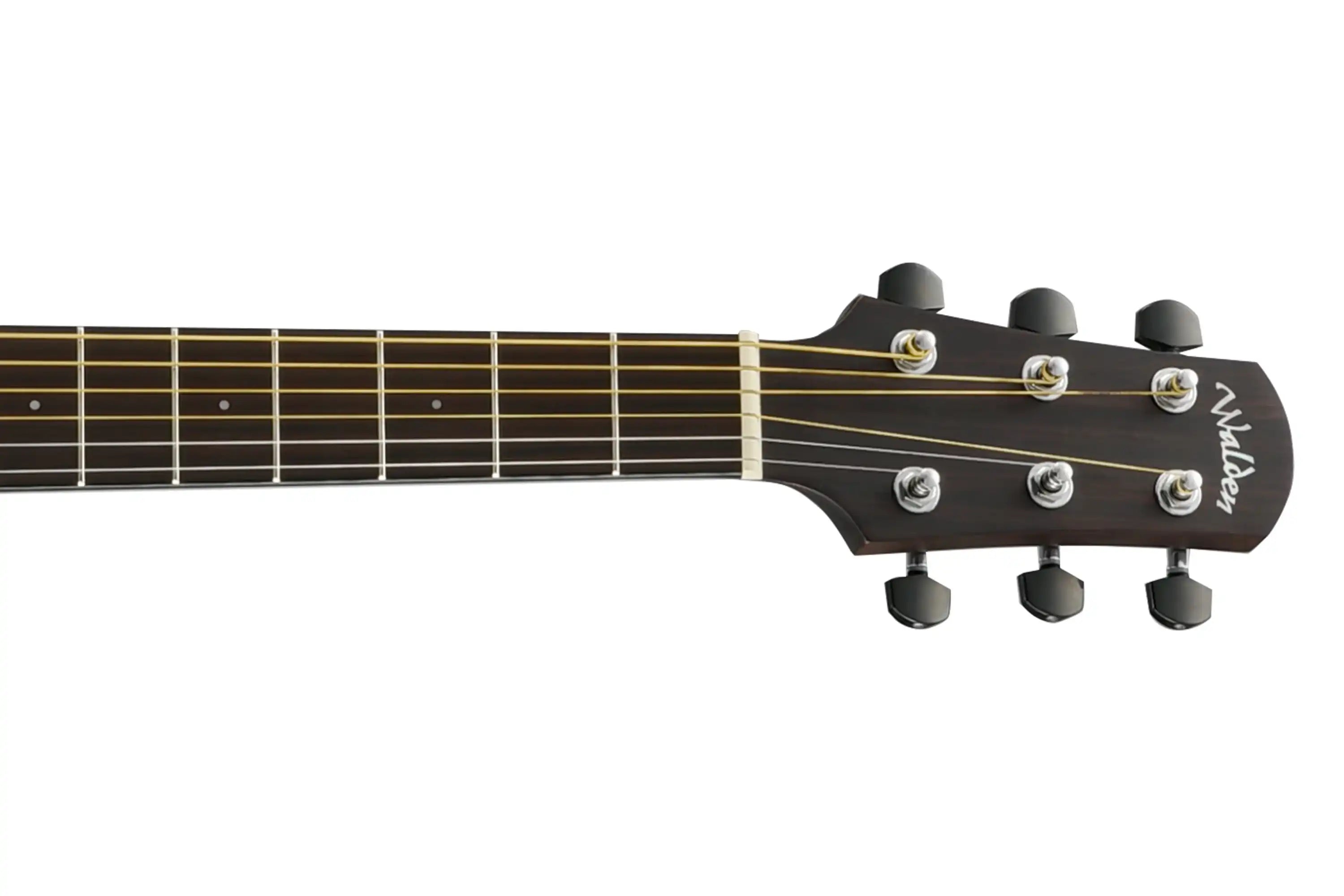 Walden-D803E-Dreadnought-Guitar6 | Terry Carter Music Store