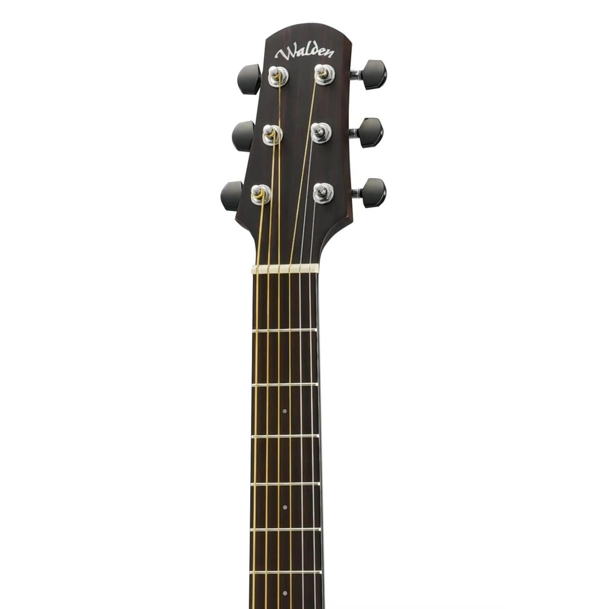 Walden-D803E-Dreadnought-Guitar6 | Terry Carter Music Store