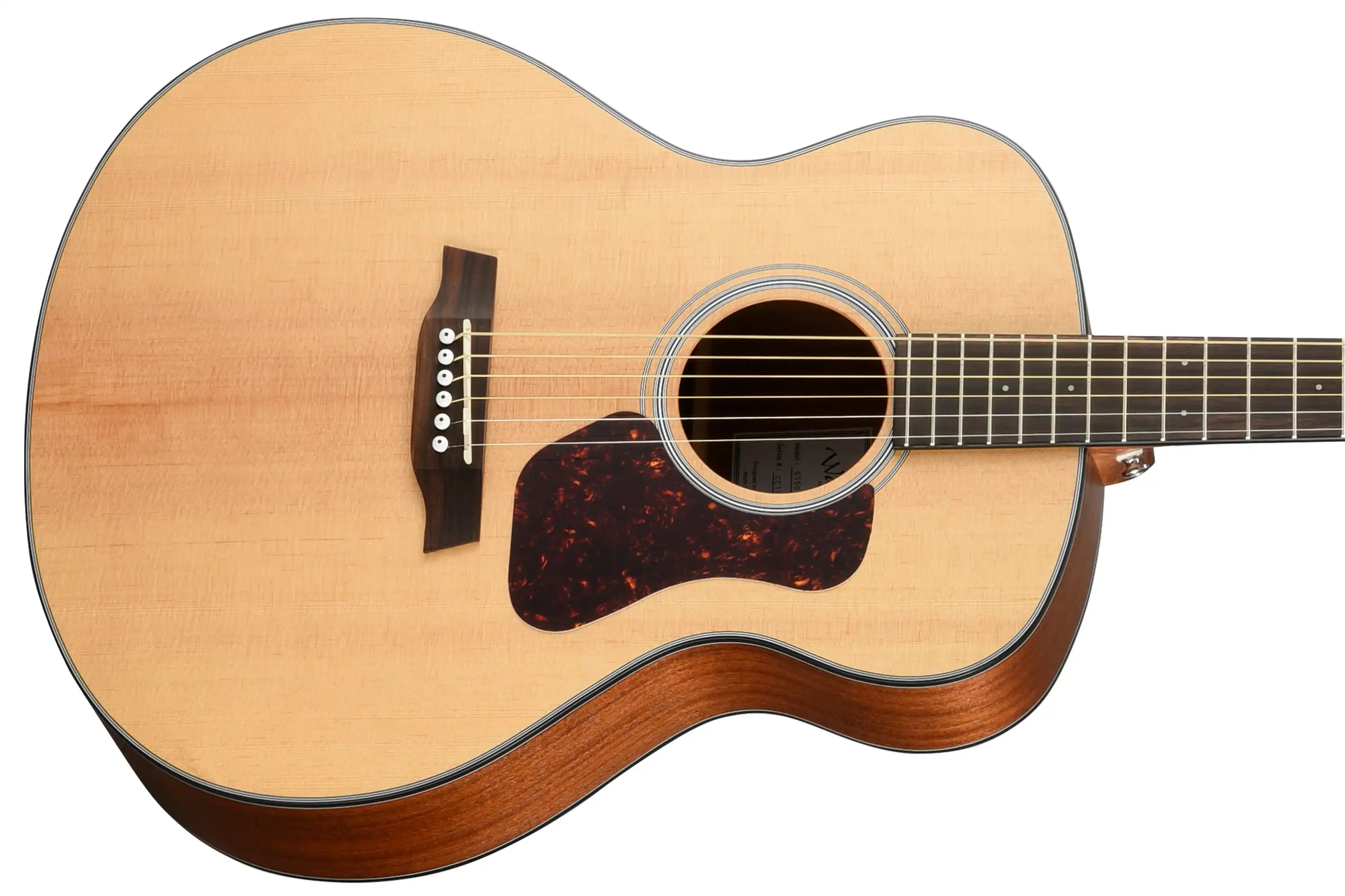 Walden-G550E-Grand-Auditorium-Guitarfront | Terry Carter Music Store