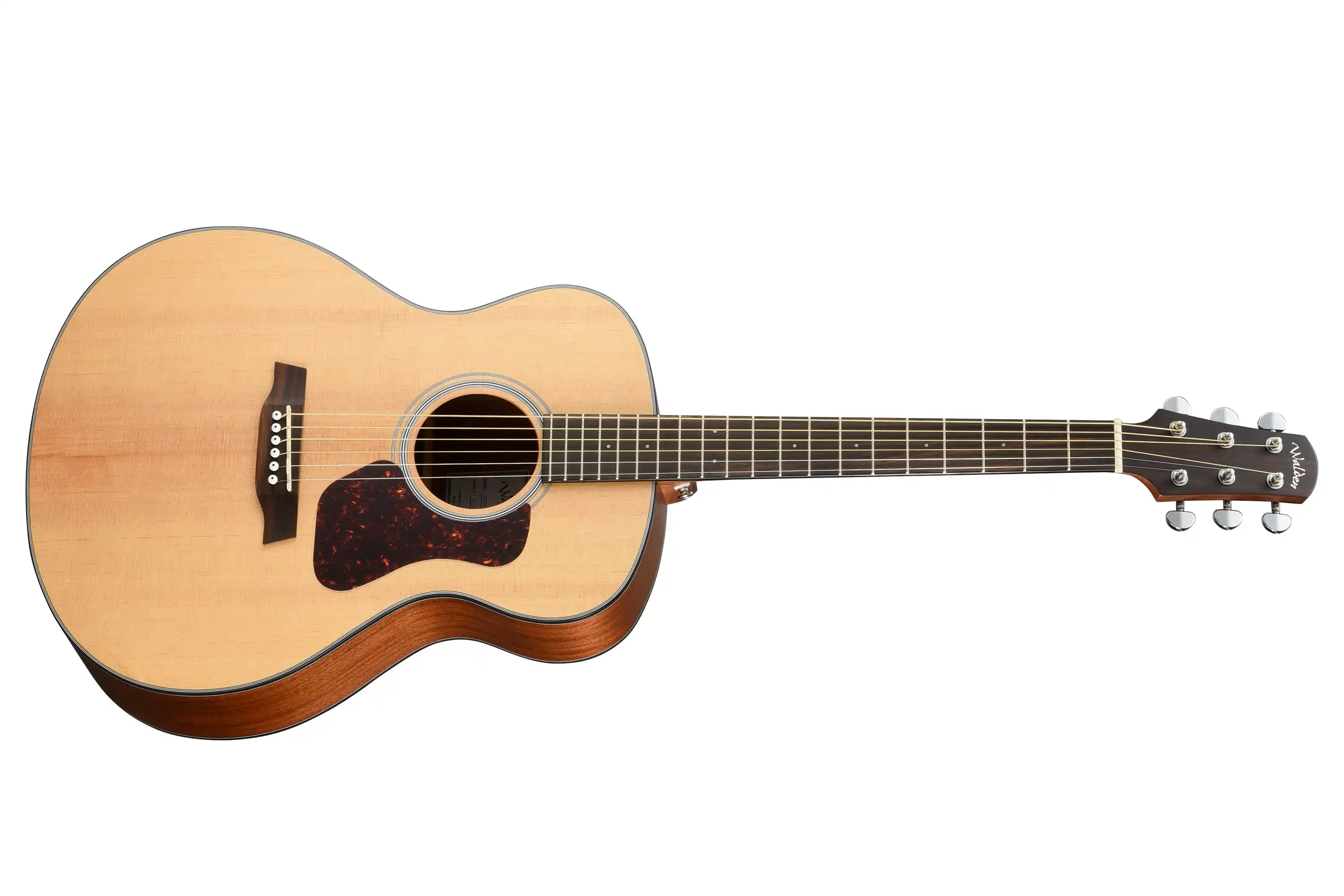 Walden-G550E-Grand-Auditorium-Guitarfullfront | Terry Carter Music Store