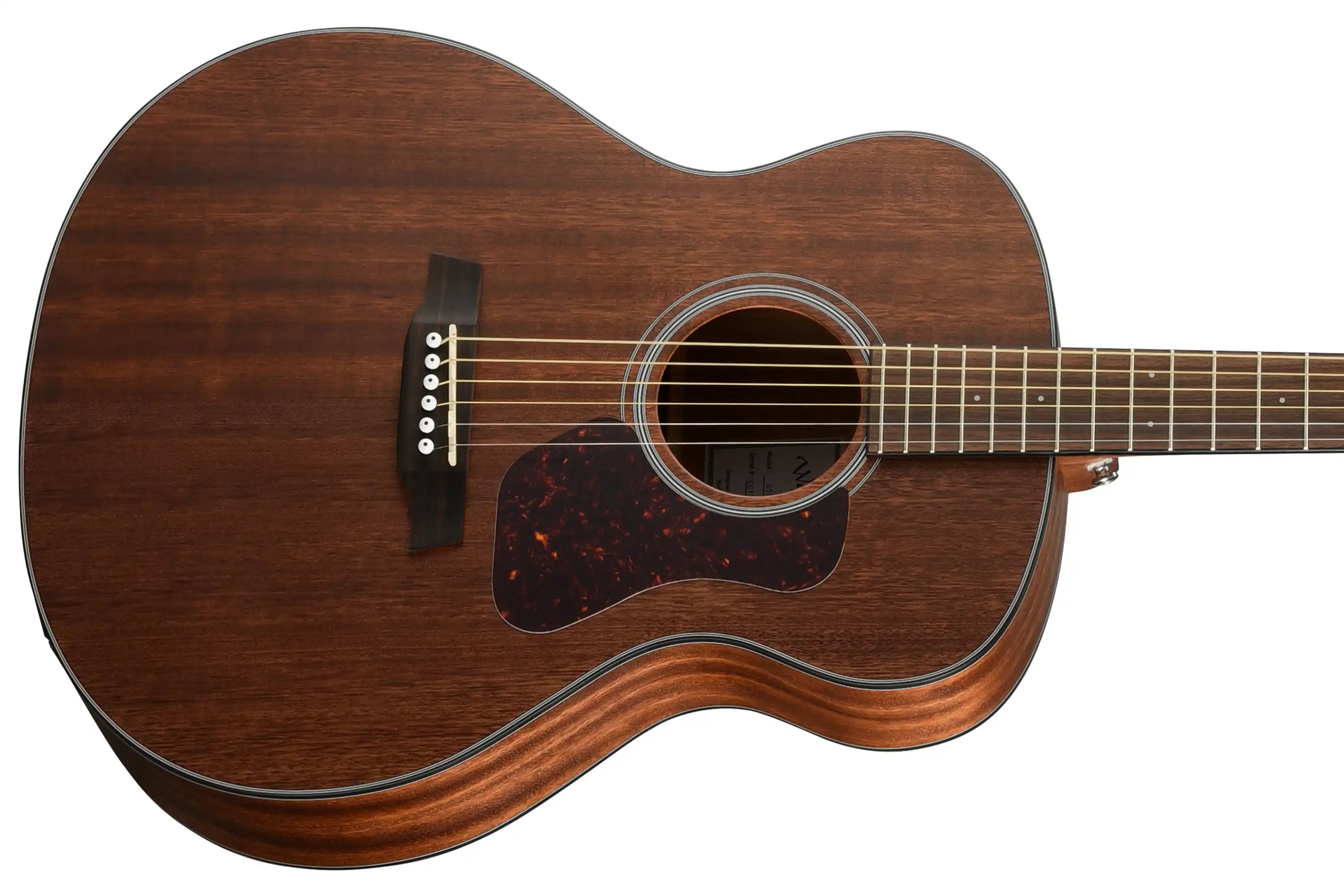 Walden-G551E-Grand-Auditorium-Guitarfront | Terry Carter Music Store