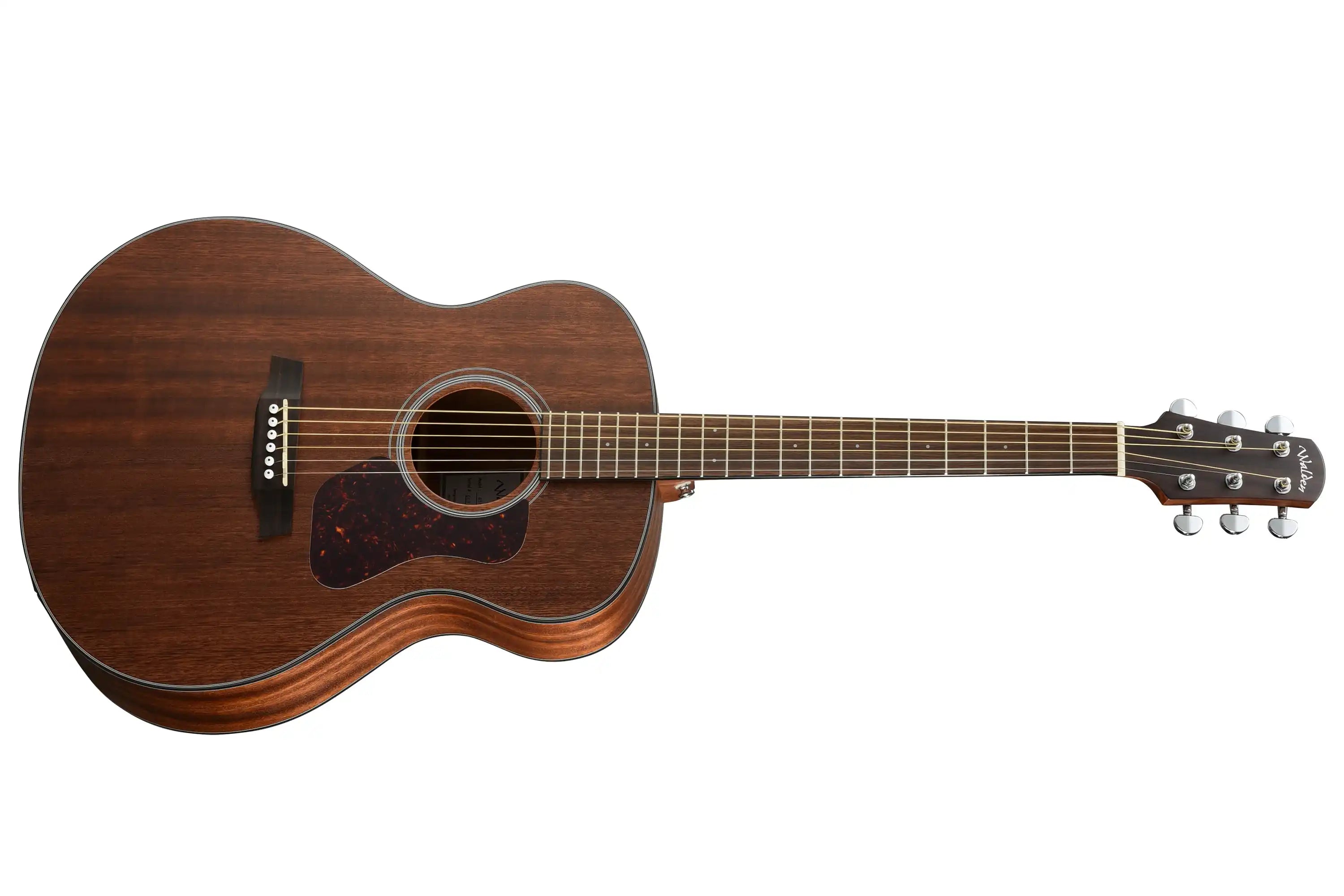Walden-G551E-Grand-Auditorium-Guitarfullfront | Terry Carter Music Store