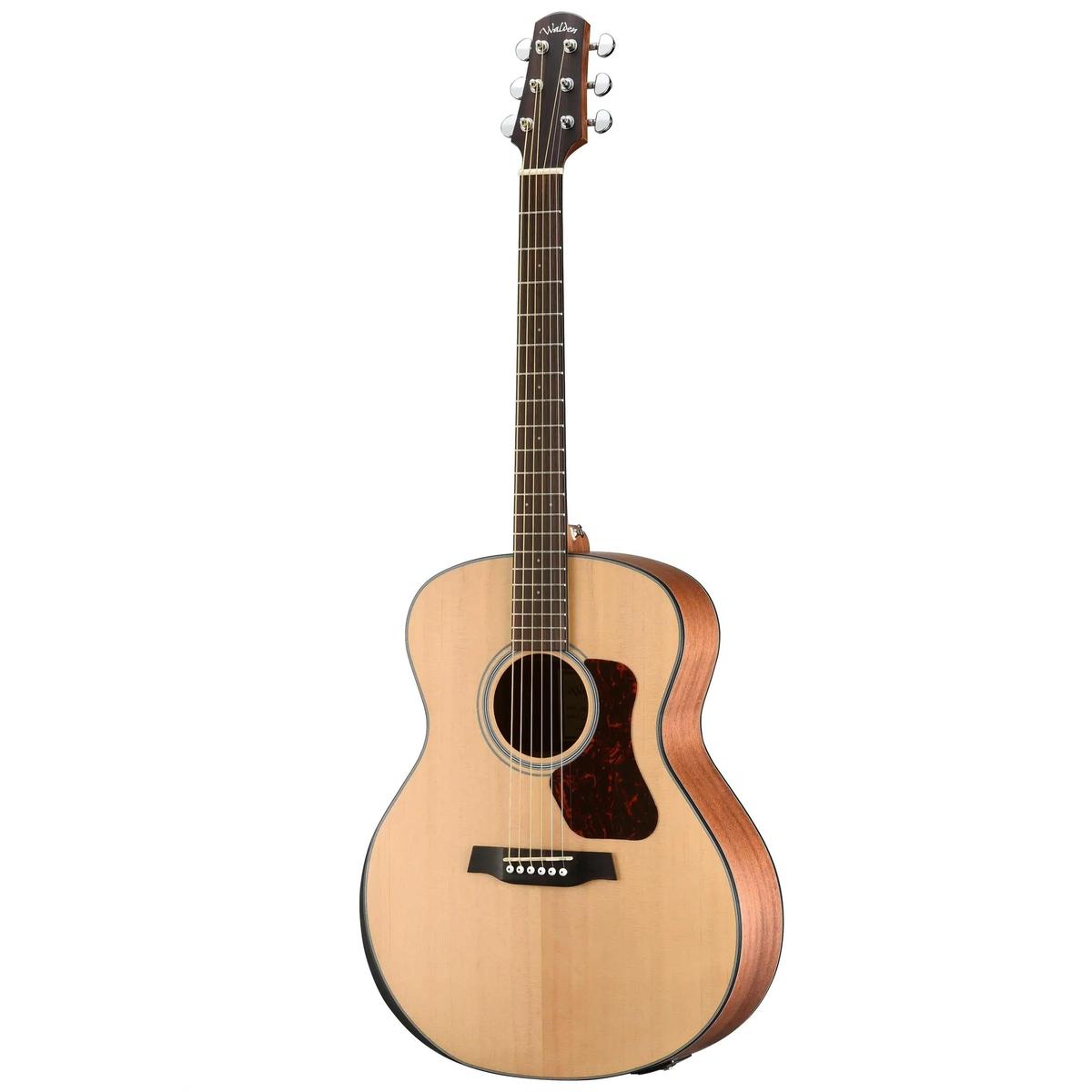 Walden-Guitars-G550RE-Auditorium-Guitarfullfront | Terry Carter Music Store