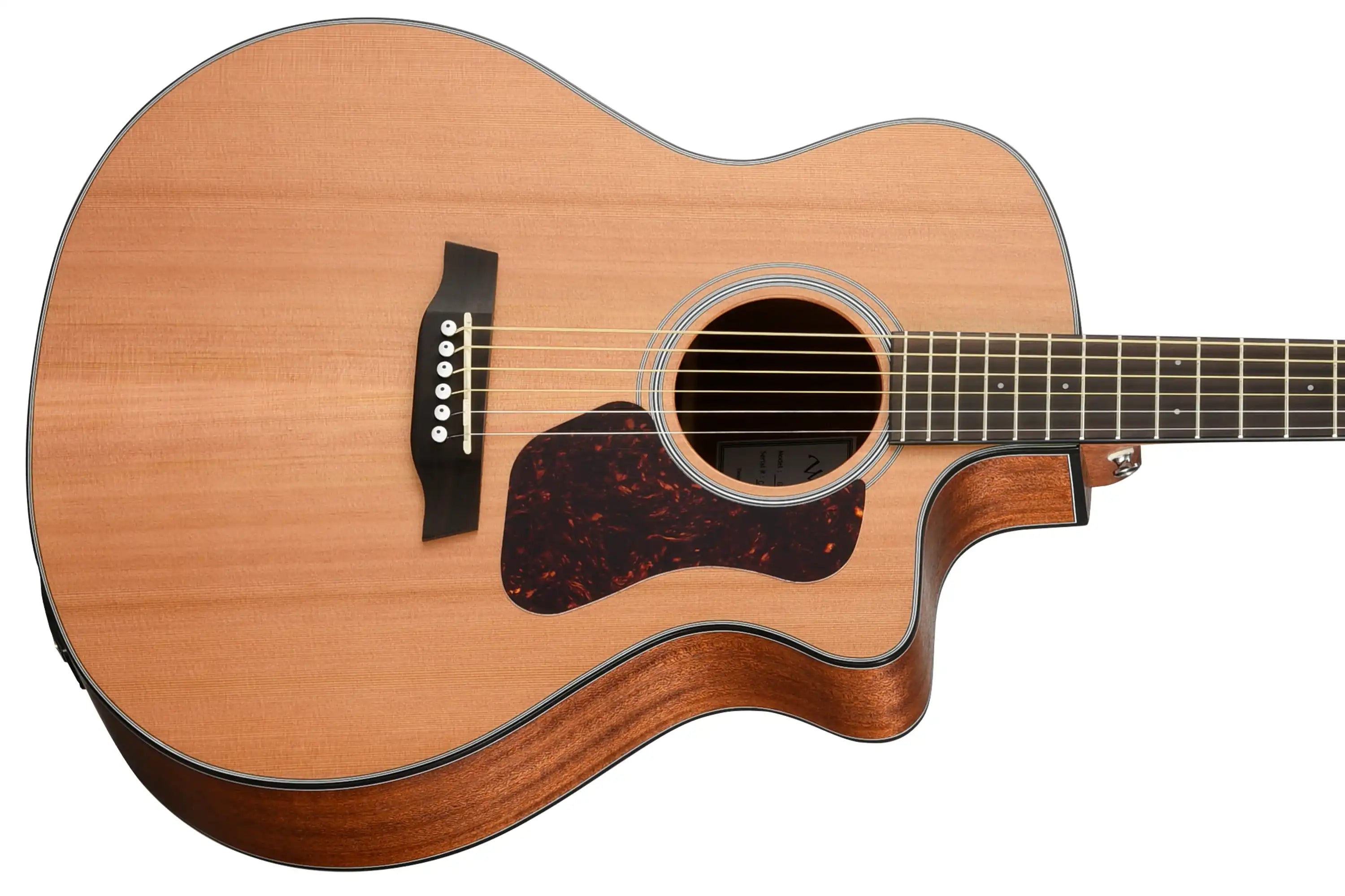 Walden-Guitars-G570CE-Guitarfront | Terry Carter Music Store