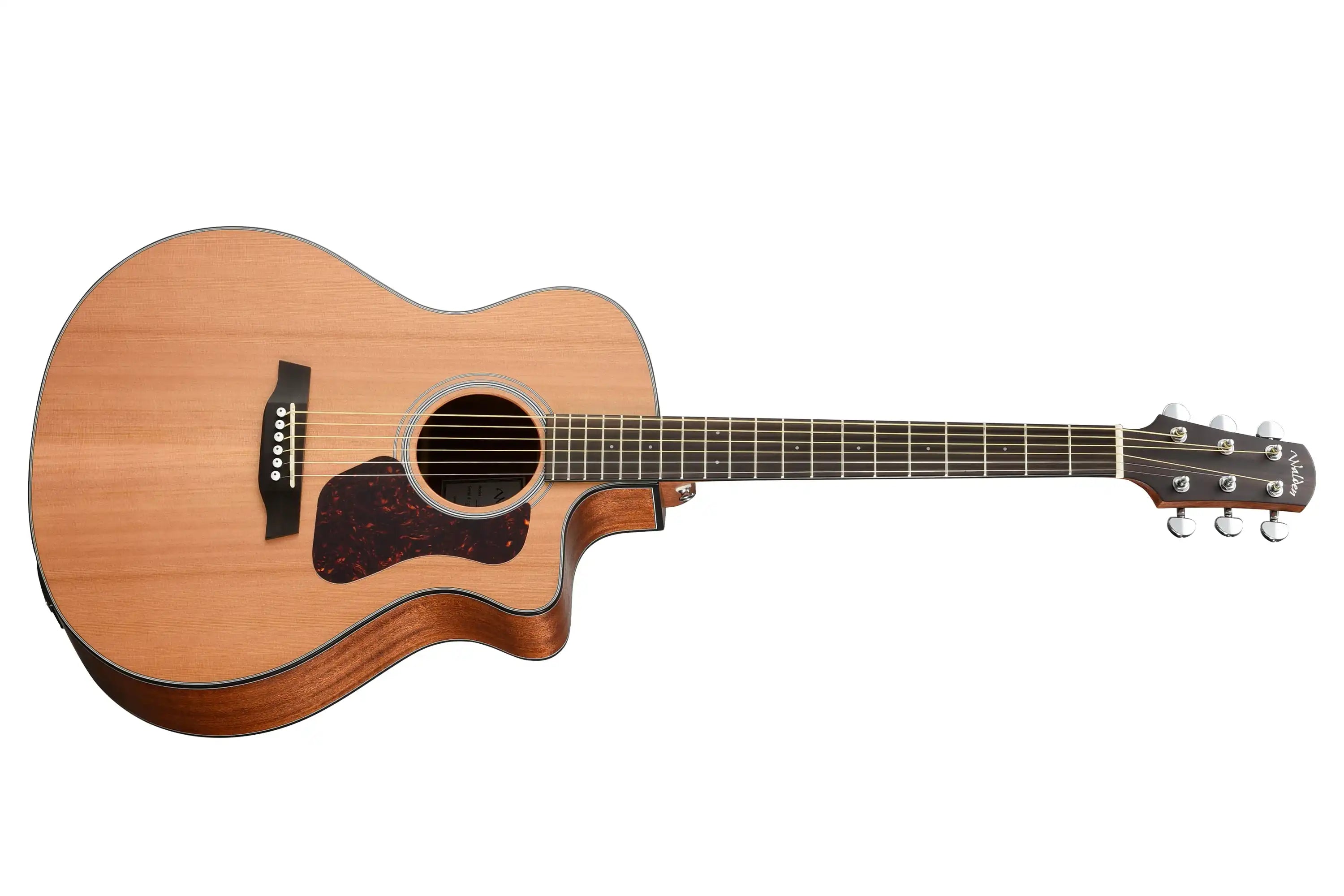 Walden-Guitars-G570CE-Guitarfullfront | Terry Carter Music Store