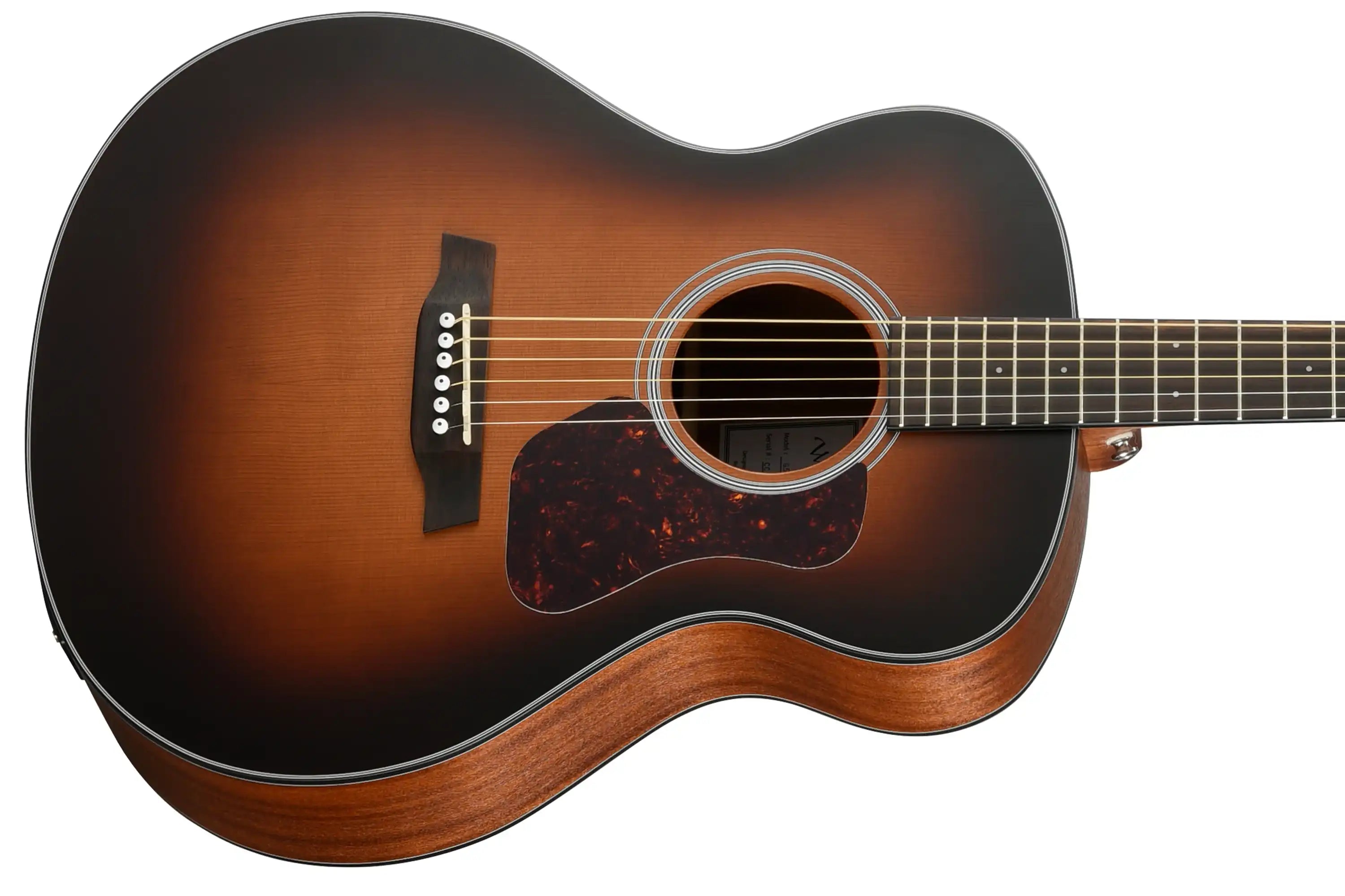 Walden-Guitars-G570ETB-Guitarfront | Terry Carter Music Store