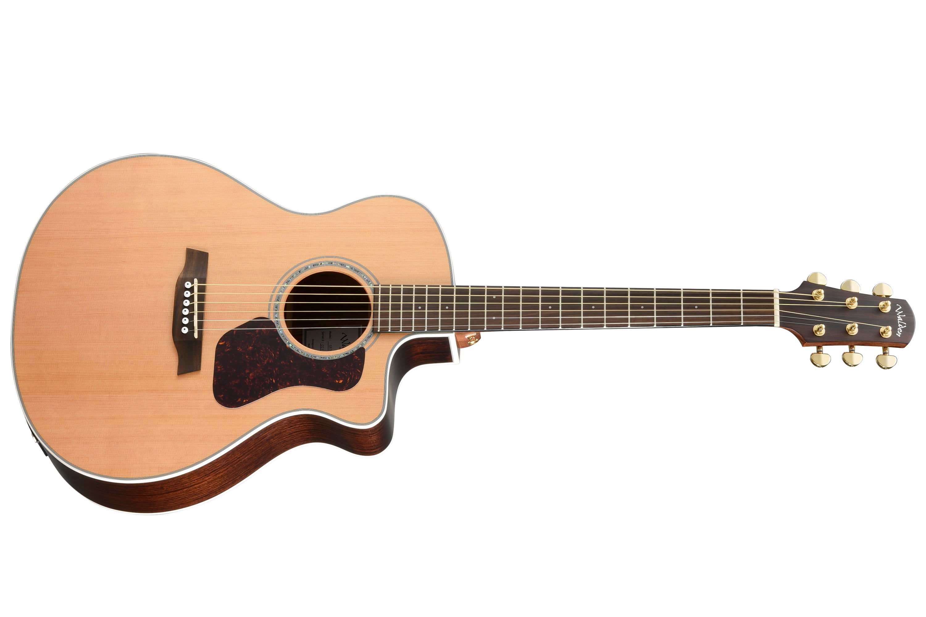 Walden Guitars G630CE