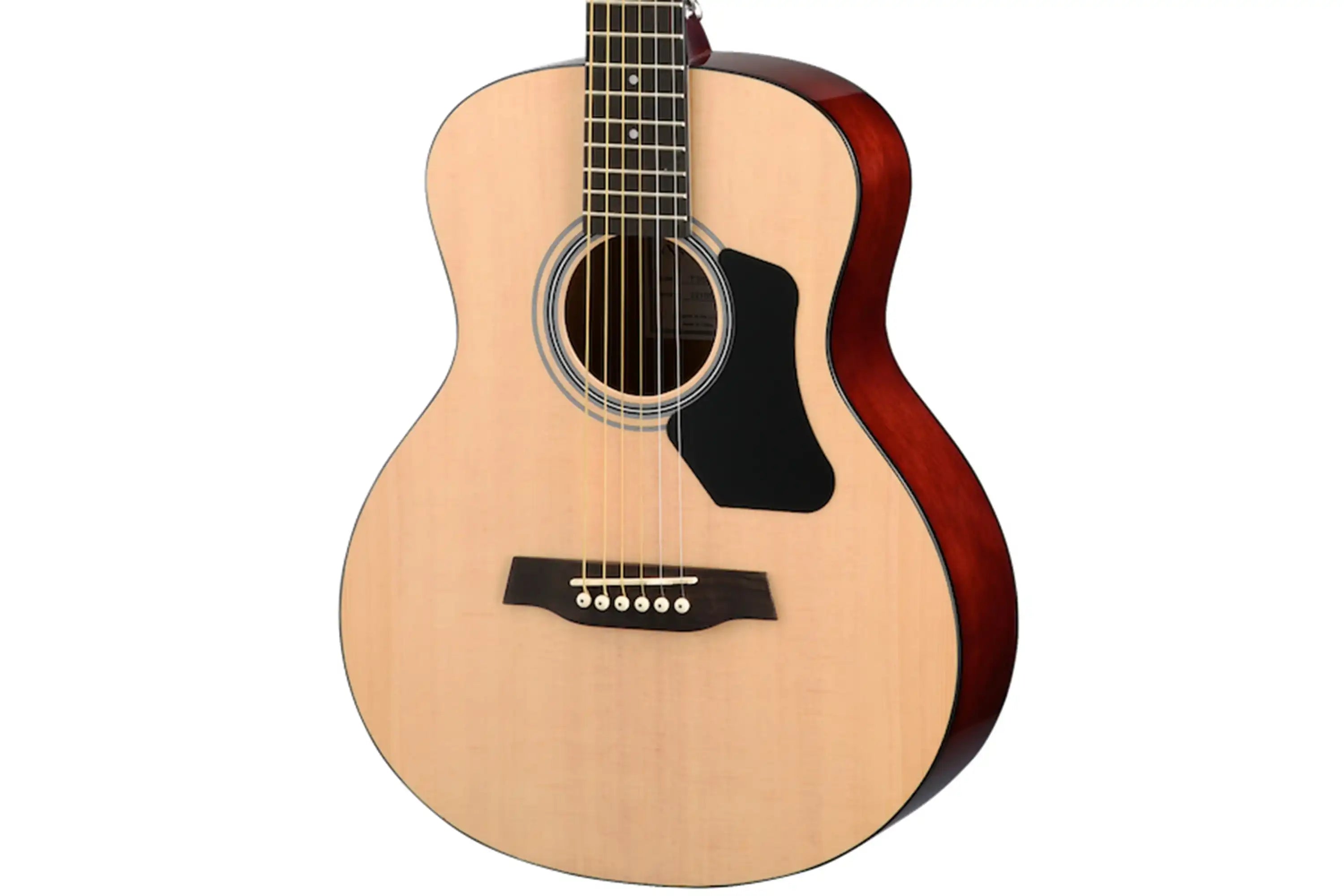 Walden-Guitars-T350-Travel-Guitarfront | Terry Carter Music Store