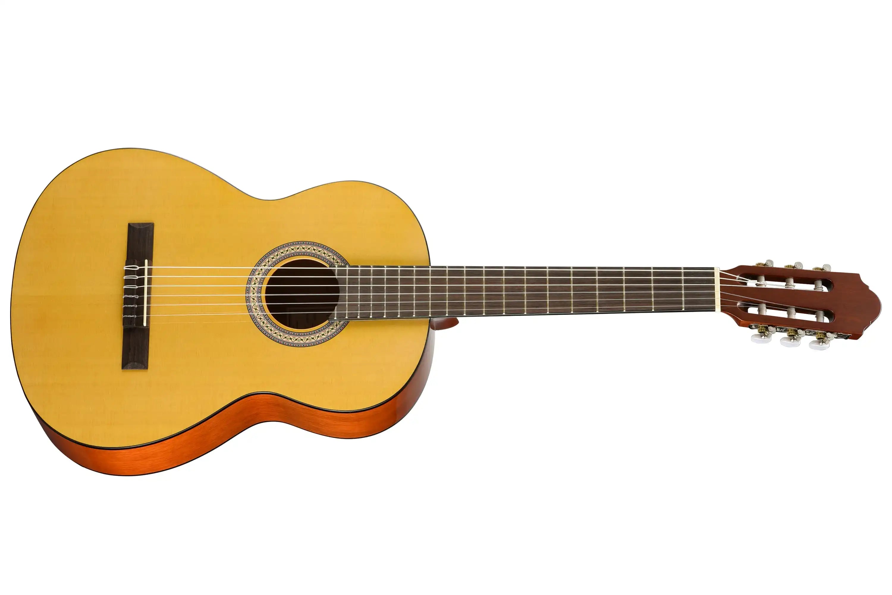 Walden-N350-Classical-Guitar1 | Terry Carter Music Store
