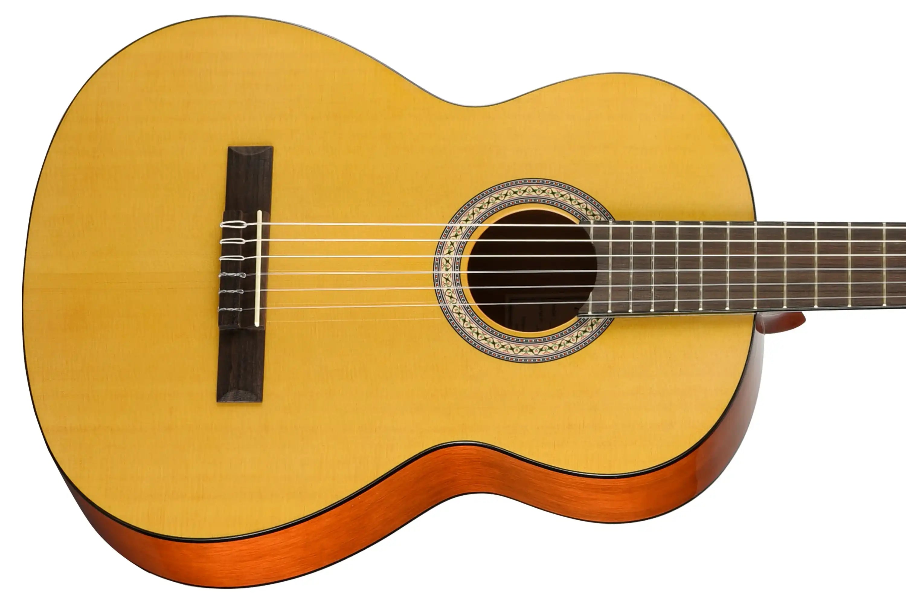 Walden-N350-Classical-Guitar2 | Terry Carter Music Store