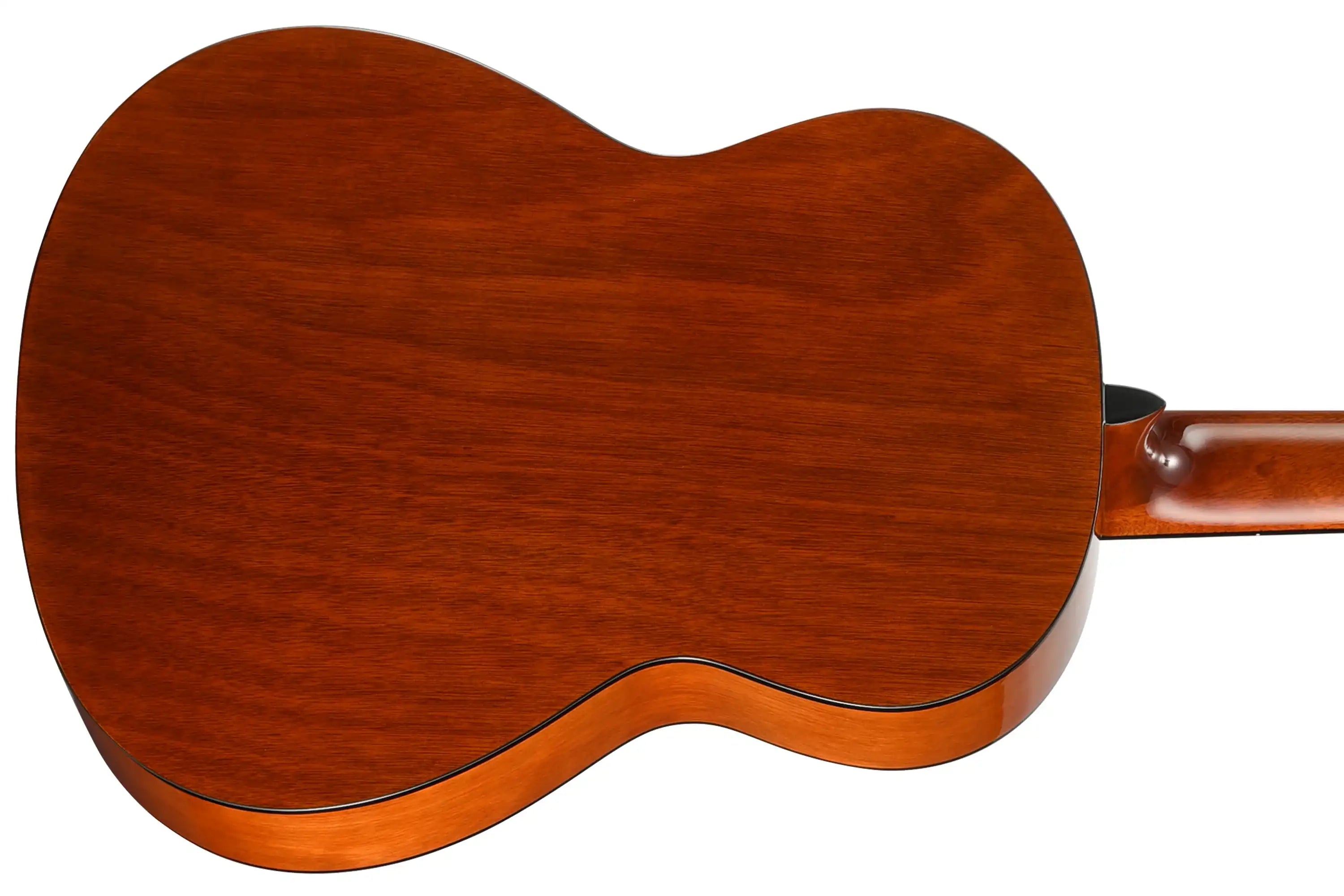 Walden-N350-Classical-Guitar4 | Terry Carter Music Store