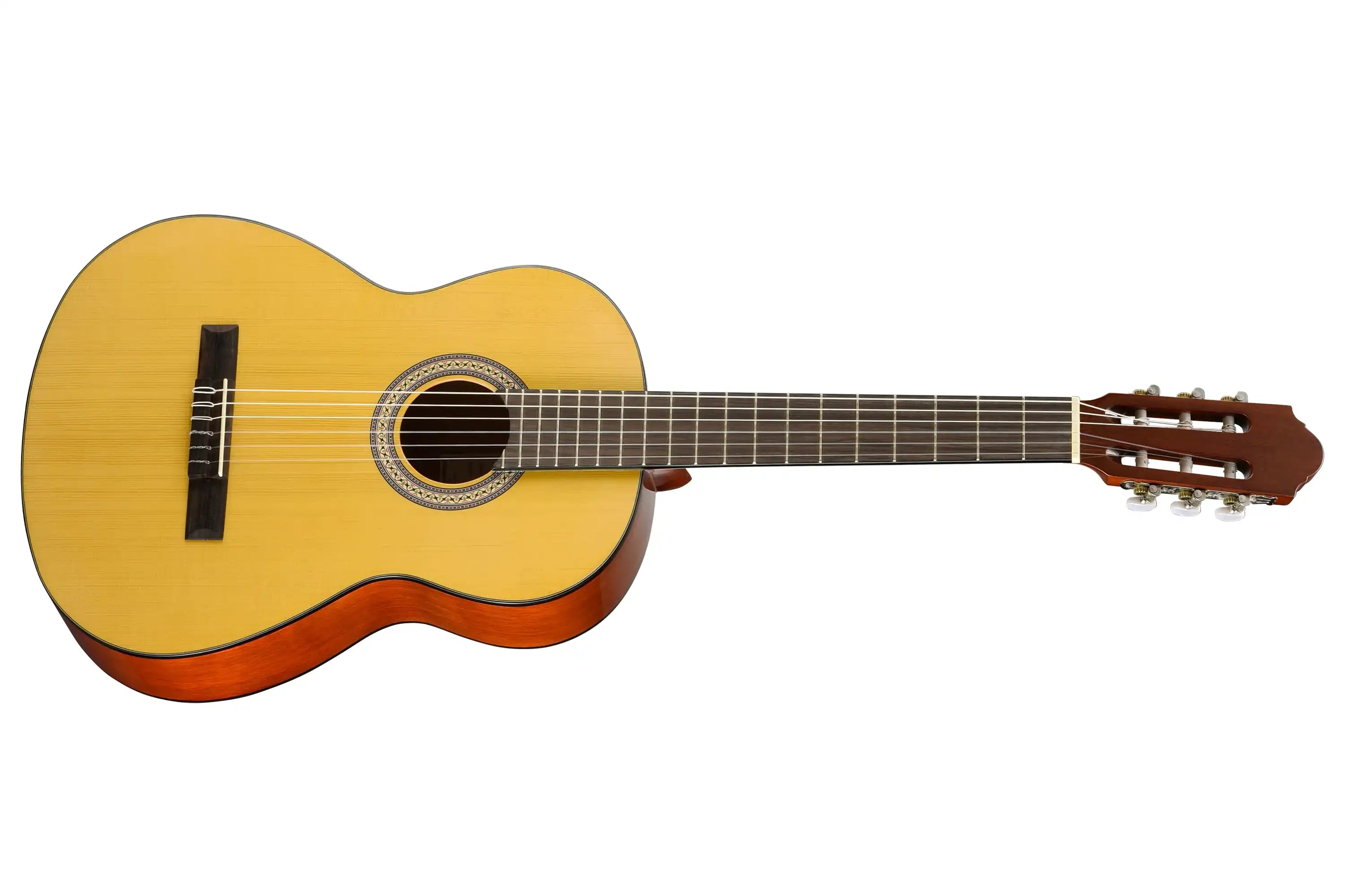 Walden-N450-Classical-Guitar1 | Terry Carter Music Store