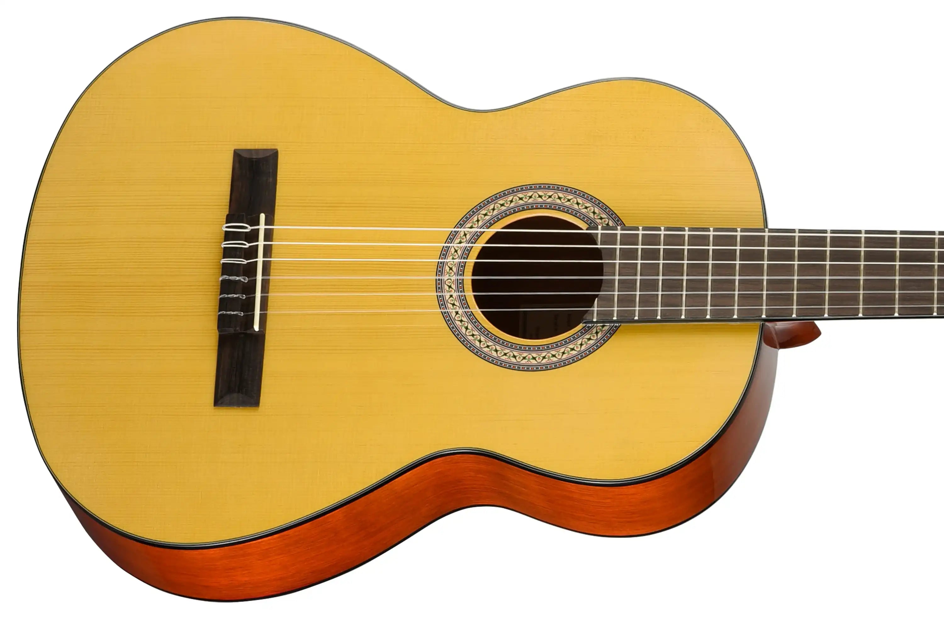 Walden-N450-Classical-Guitar2 | Terry Carter Music Store