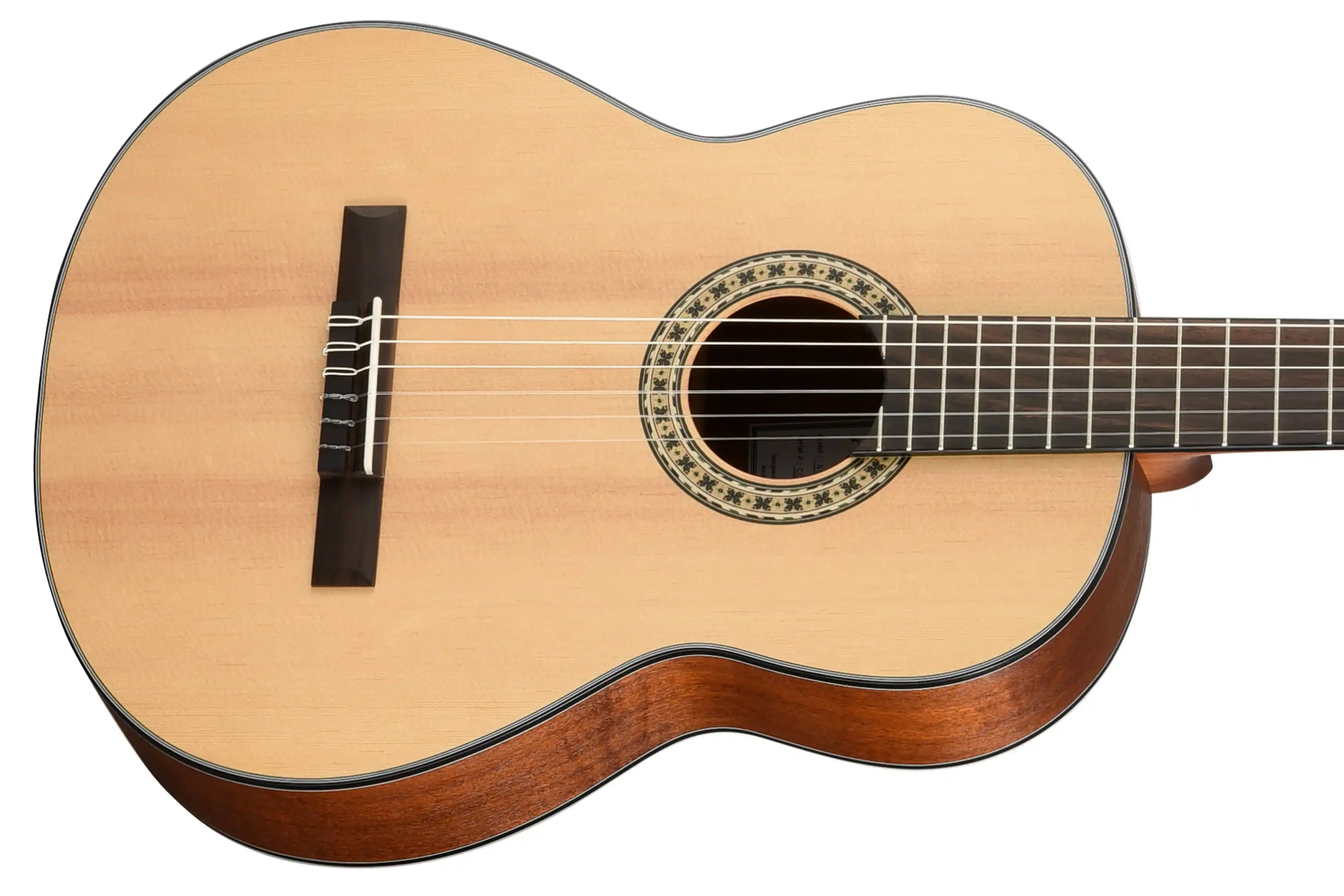 Walden-N550E-Classical-Guitar2 | Terry Carter Music Store