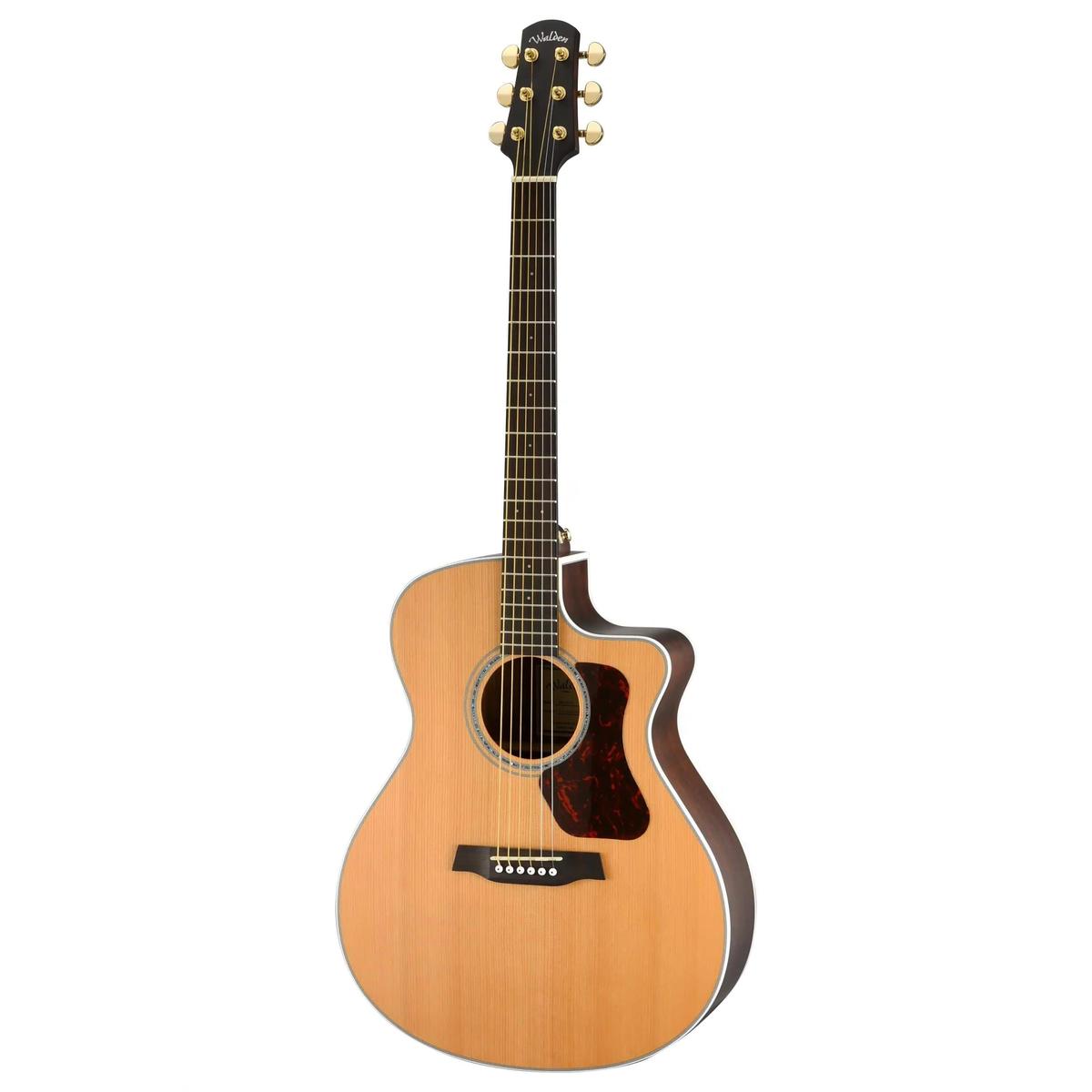 Walden-Natura-G633CE-Guitar1 | Terry Carter Music Store