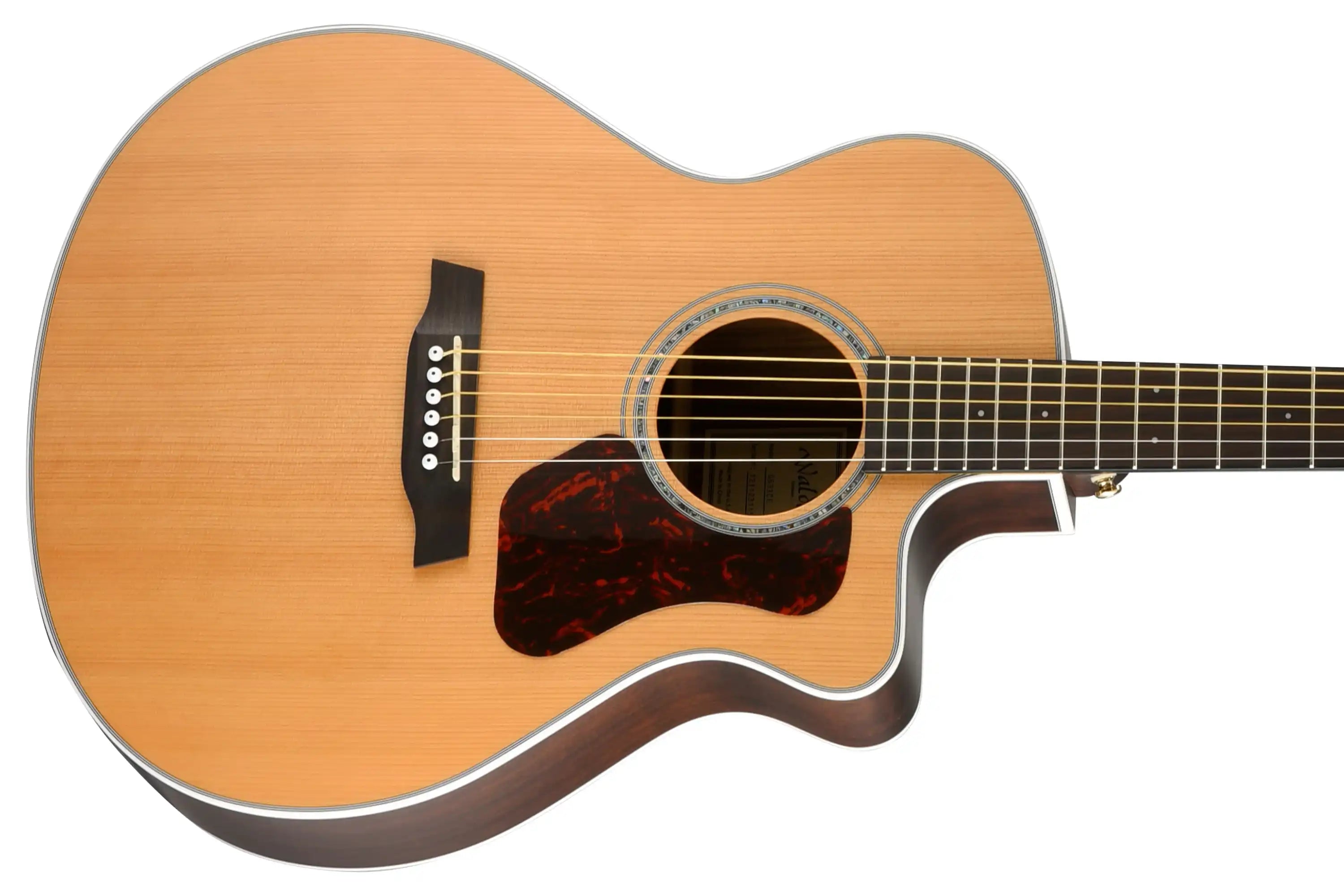Walden-Natura-G633CE-Guitar2 | Terry Carter Music Store