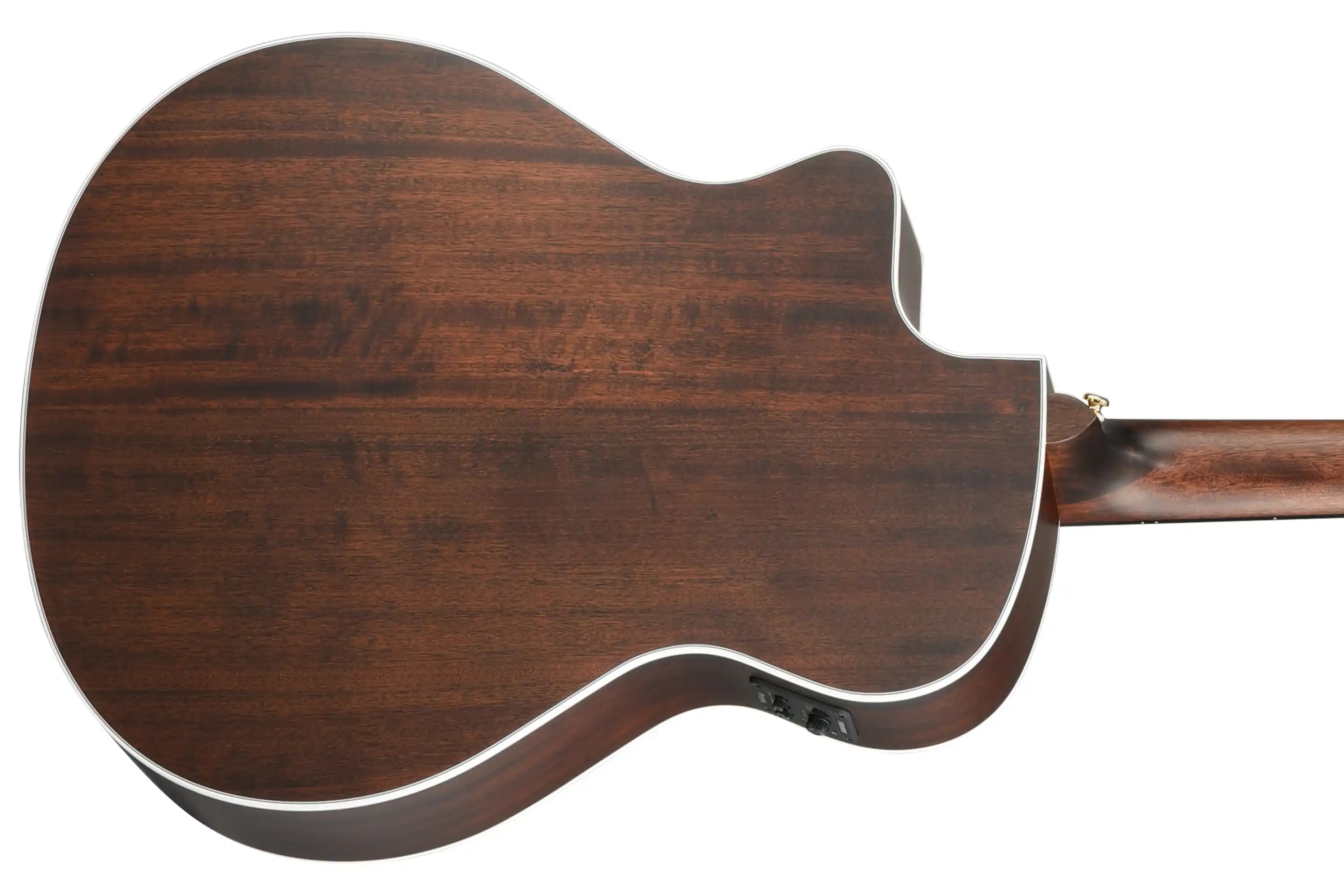 Walden-Natura-G633CE-Guitar4 | Terry Carter Music Store