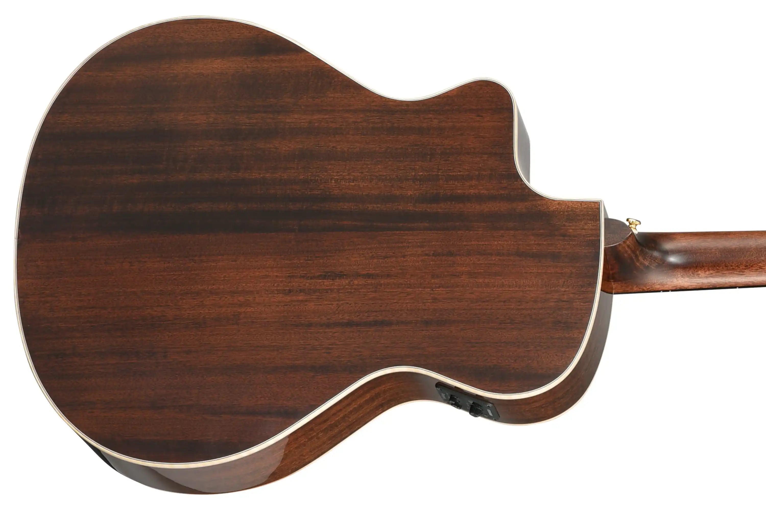 Walden-Natura-G633RCE-G-Guitar2 | Terry Carter Music Store