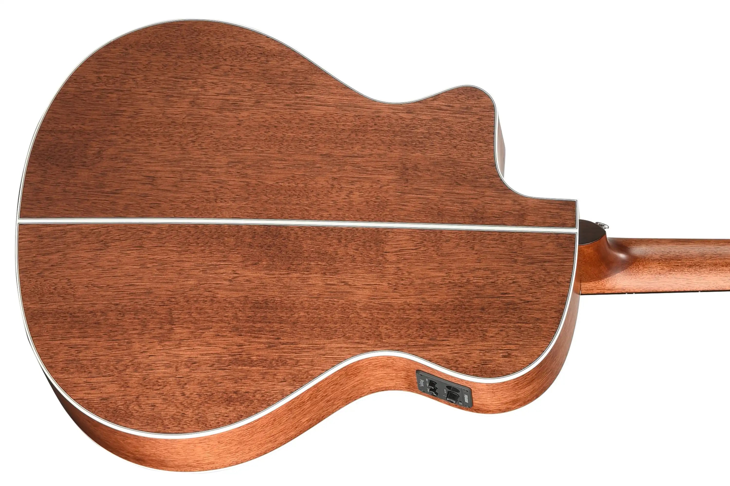 Walden-Natura-G770CE-Guitar2 | Terry Carter Music Store