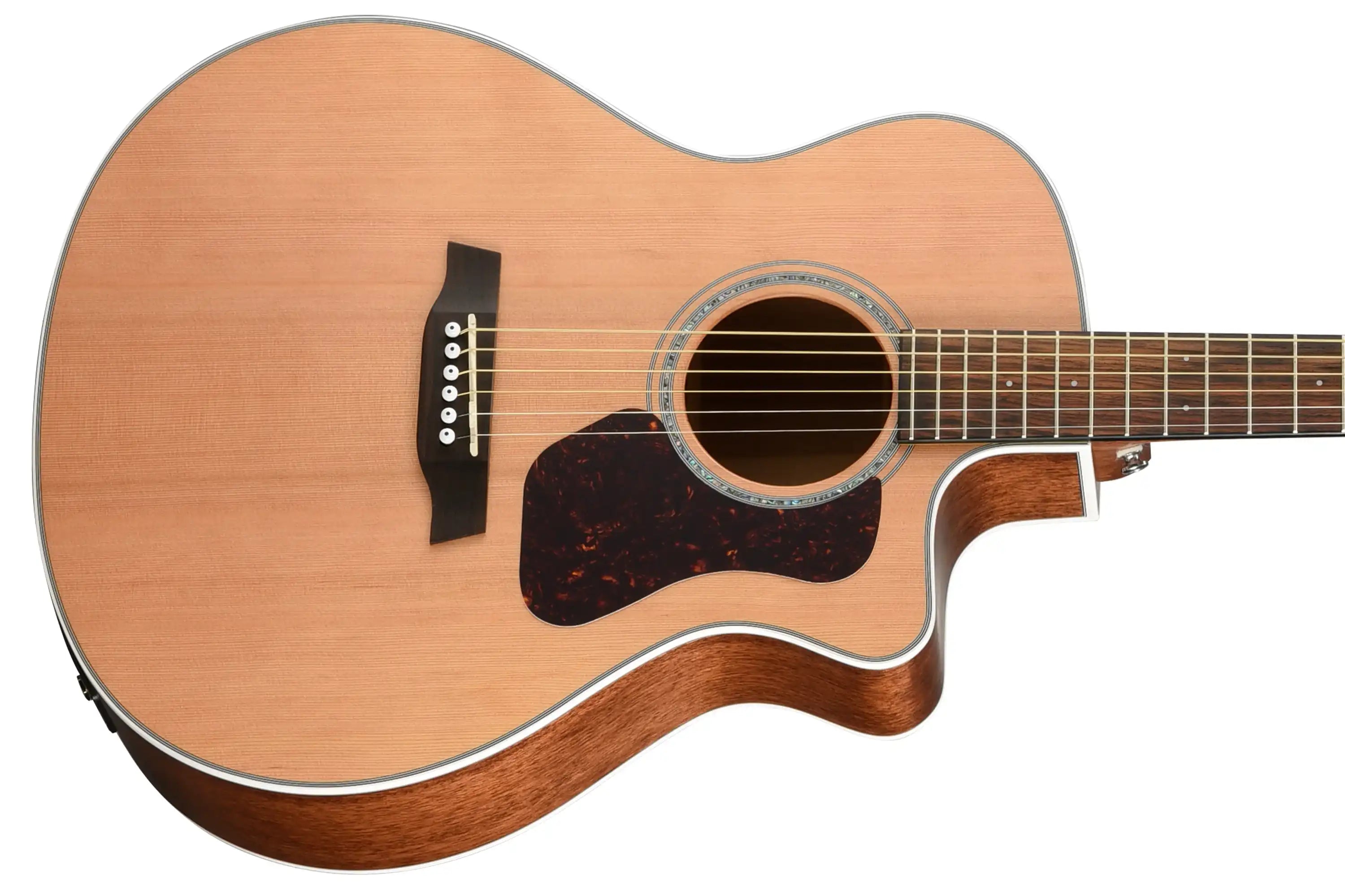 Walden-Natura-G770CE-Guitar4 | Terry Carter Music Store
