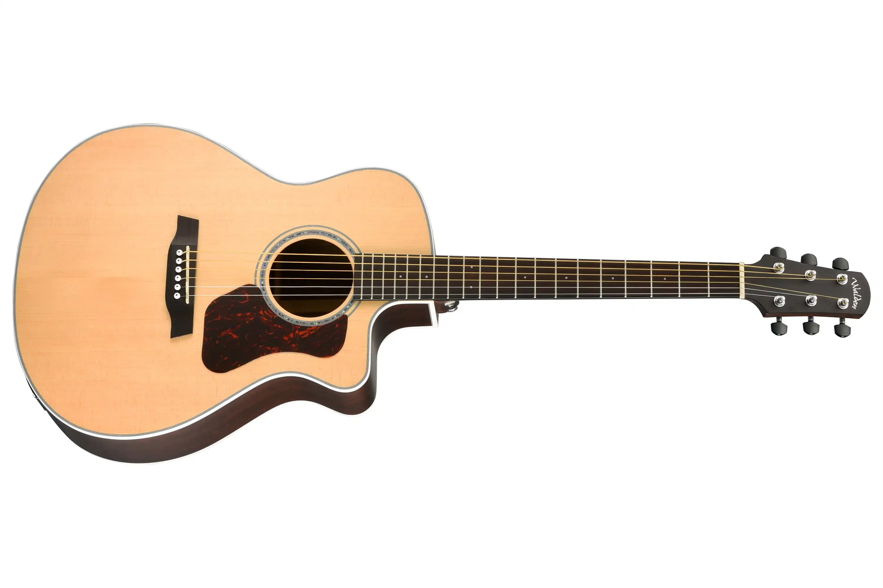 Walden-Natura-G803CE-Guitar1 | Terry Carter Music Store