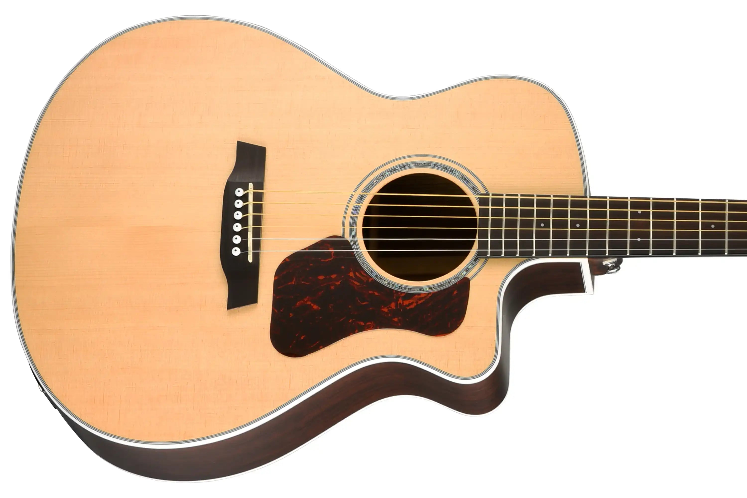 Walden-Natura-G803CE-Guitar2 | Terry Carter Music Store
