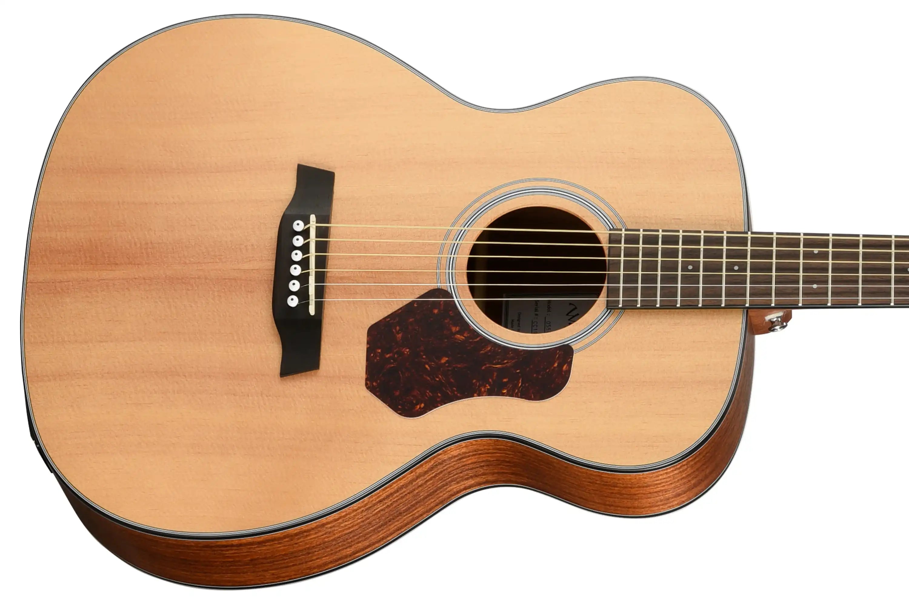 Walden-O550E-Orchestra-Guitarfront | Terry Carter Music Store