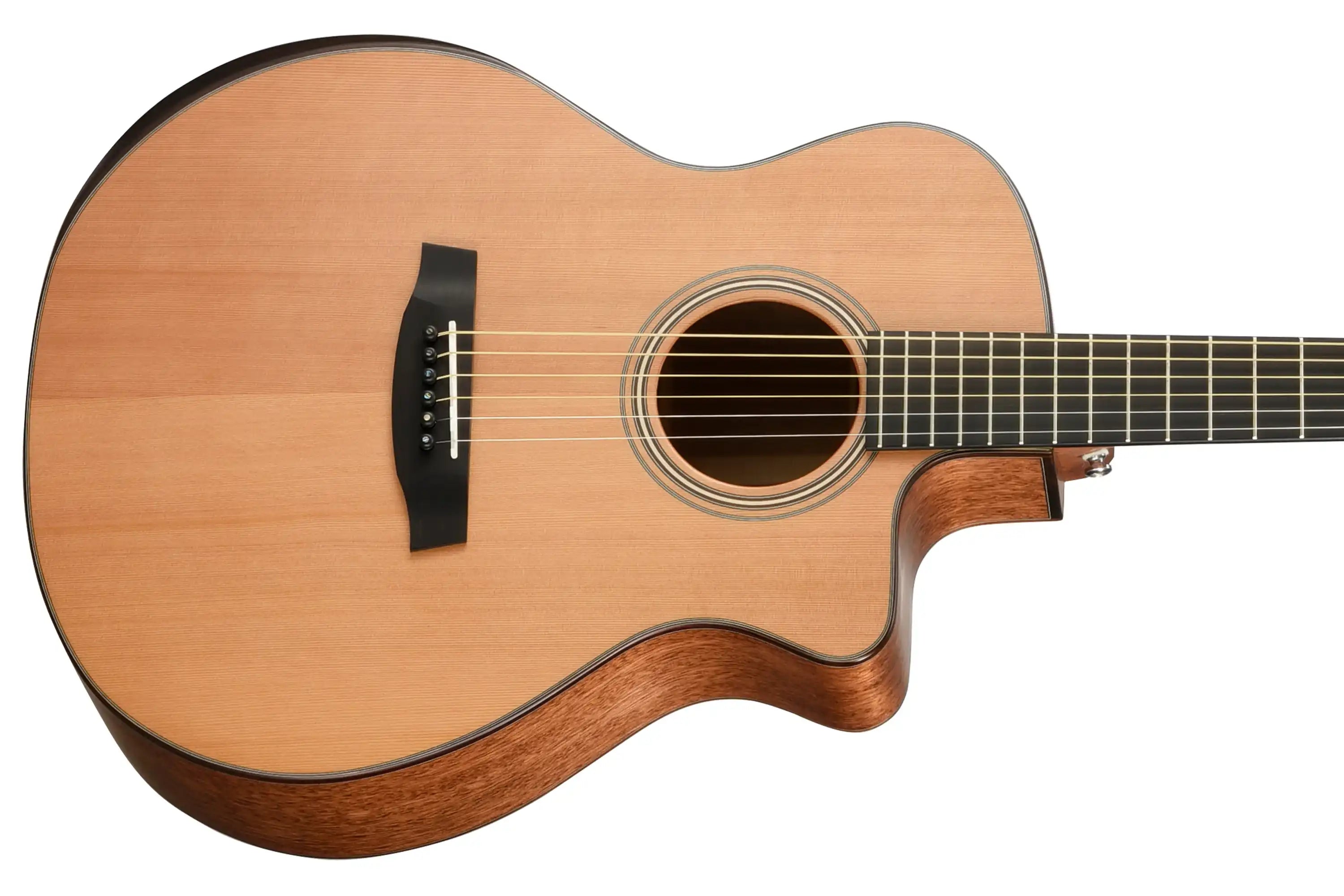 Walden-SupraNatura-G2070RCE-Guitar2 | Terry Carter Music Store