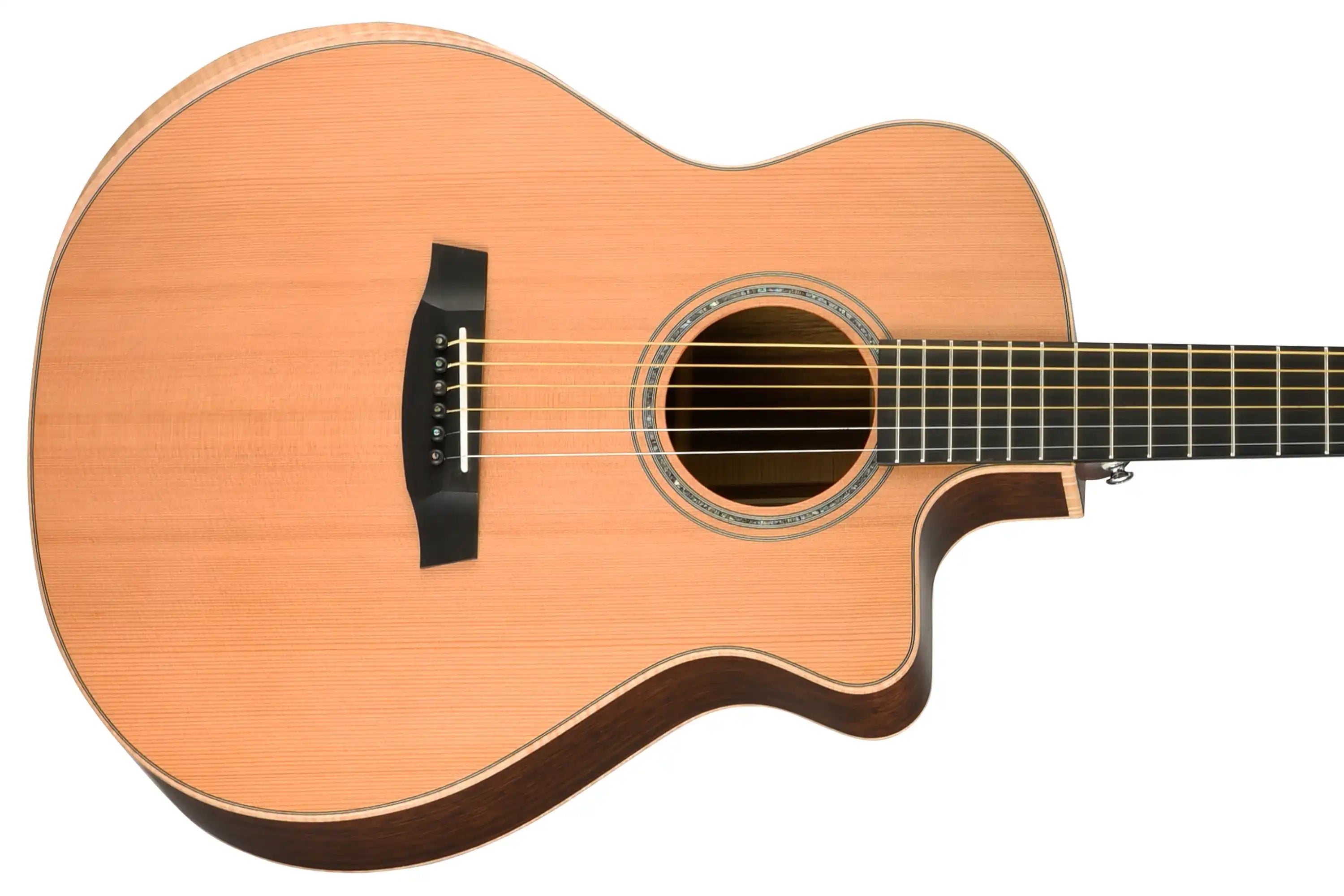 Walden-SupraNatura-G3033RCE-Guitar2 | Terry Carter Music Store