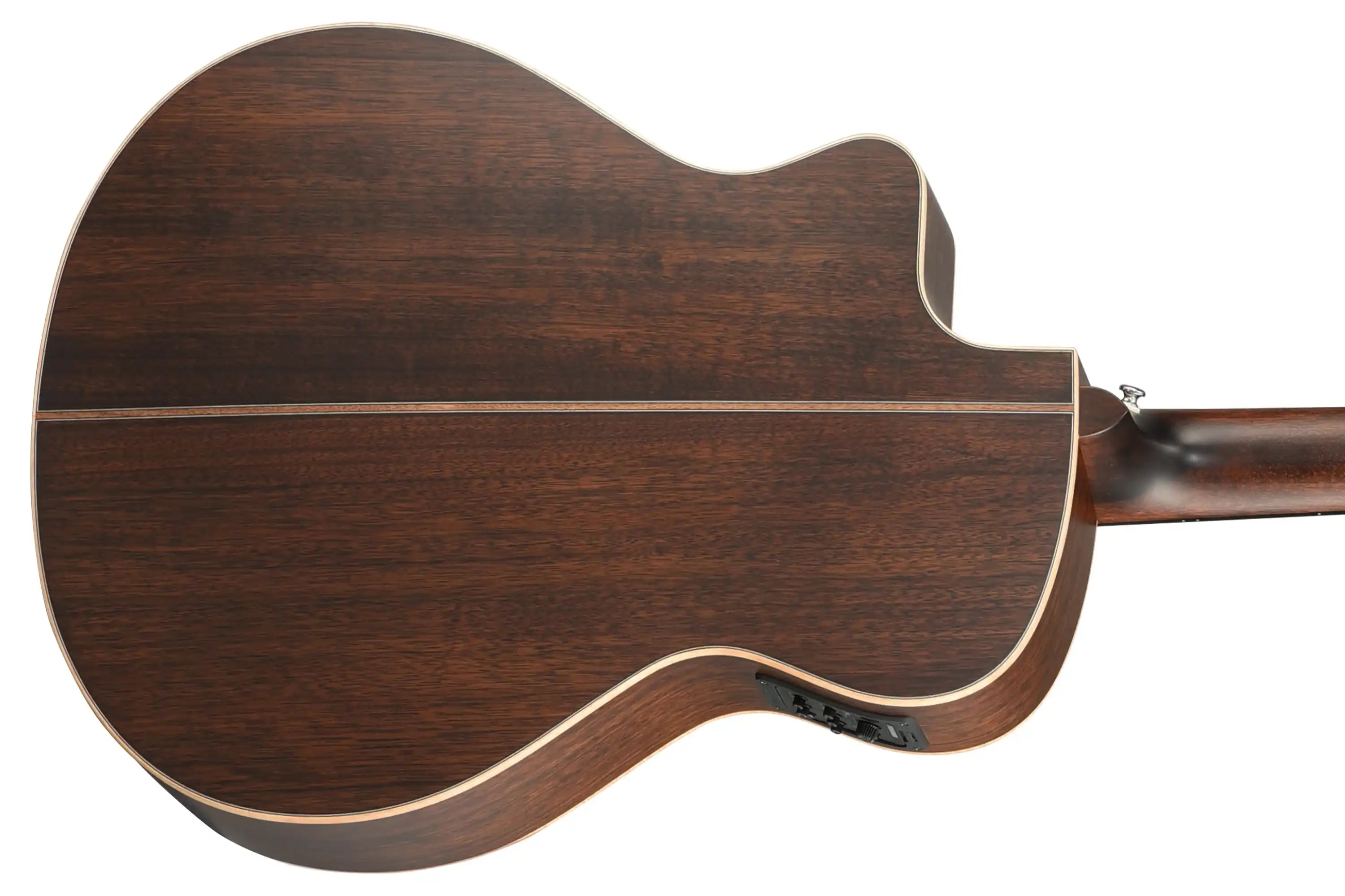 Walden-SupraNatura-G3033RCE-Guitar4 | Terry Carter Music Store
