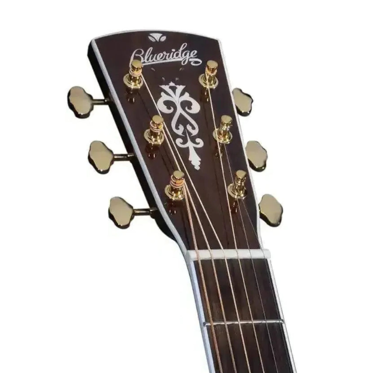 Blueridge BR-73 acoustic guitar headstock with gold tuners, abalone inlay, and dark rosewood fretboard.