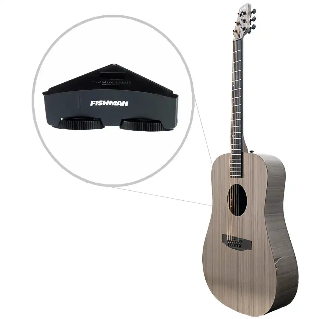 ct_f_fishman | Terry Carter Music Store
