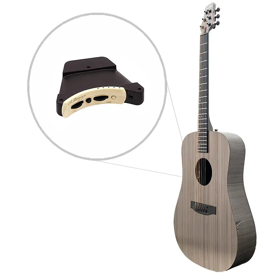 ct_f_lrbaggs | Terry Carter Music Store