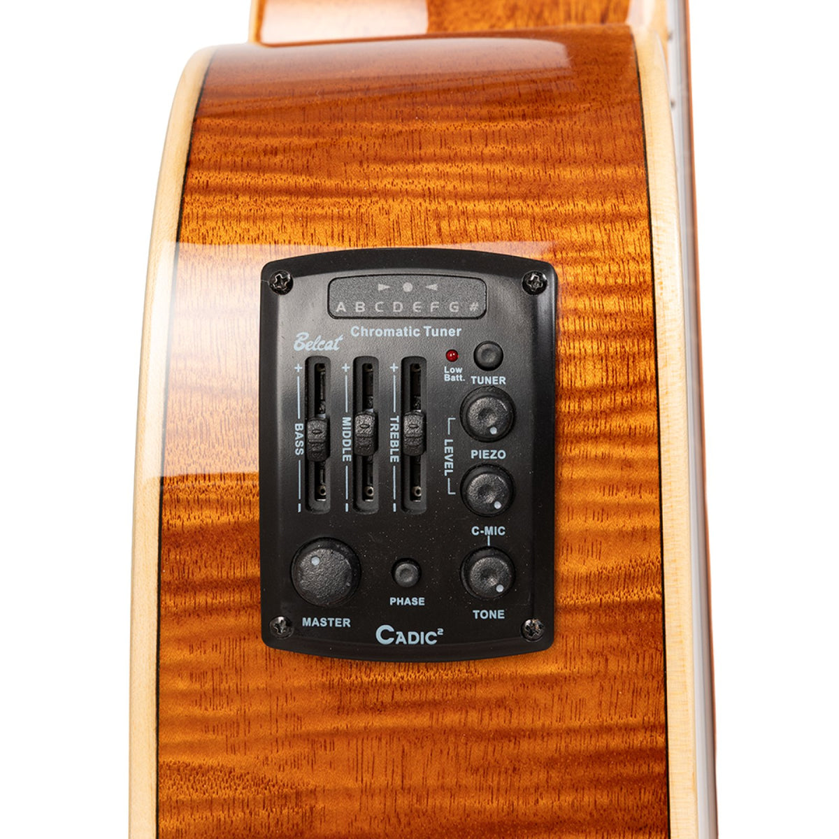 Preamp panel with chromatic tuner, bass, middle and treble sliders on the Stagg SA45 DCE-FM/12