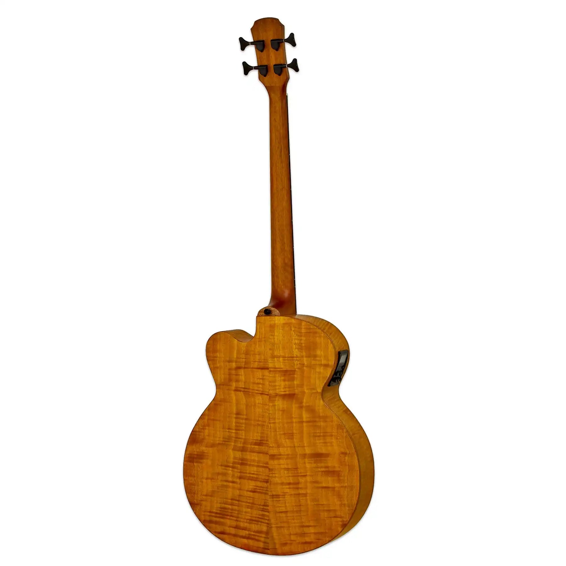 febf2_fl_stbr_back_product_1800x1800_95a6b879-06c4-4eda-b440-392a19381987 | Terry Carter Music Store