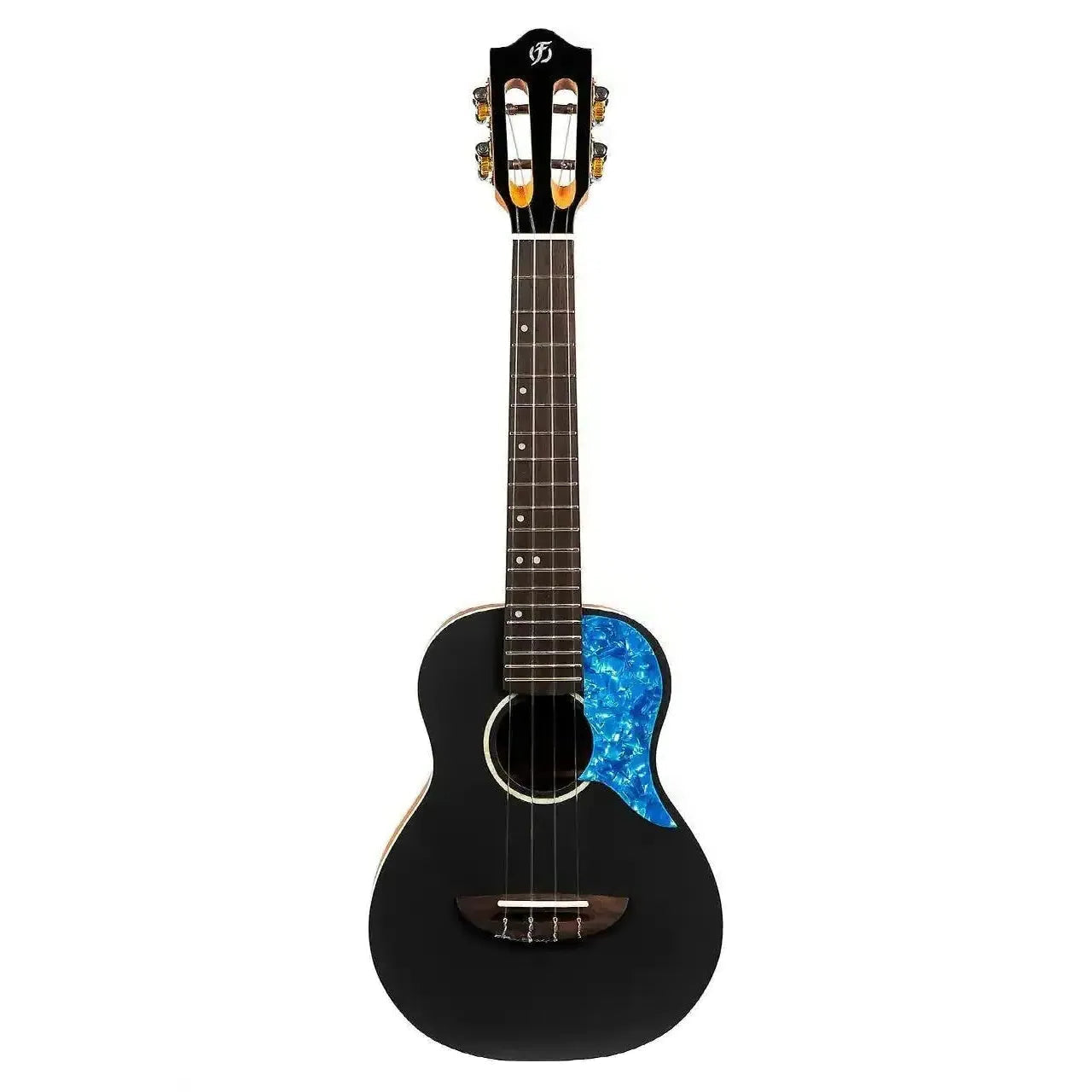 Flight IRIS BK black solid spruce top concert ukulele with blue pickguard and ivory binding.