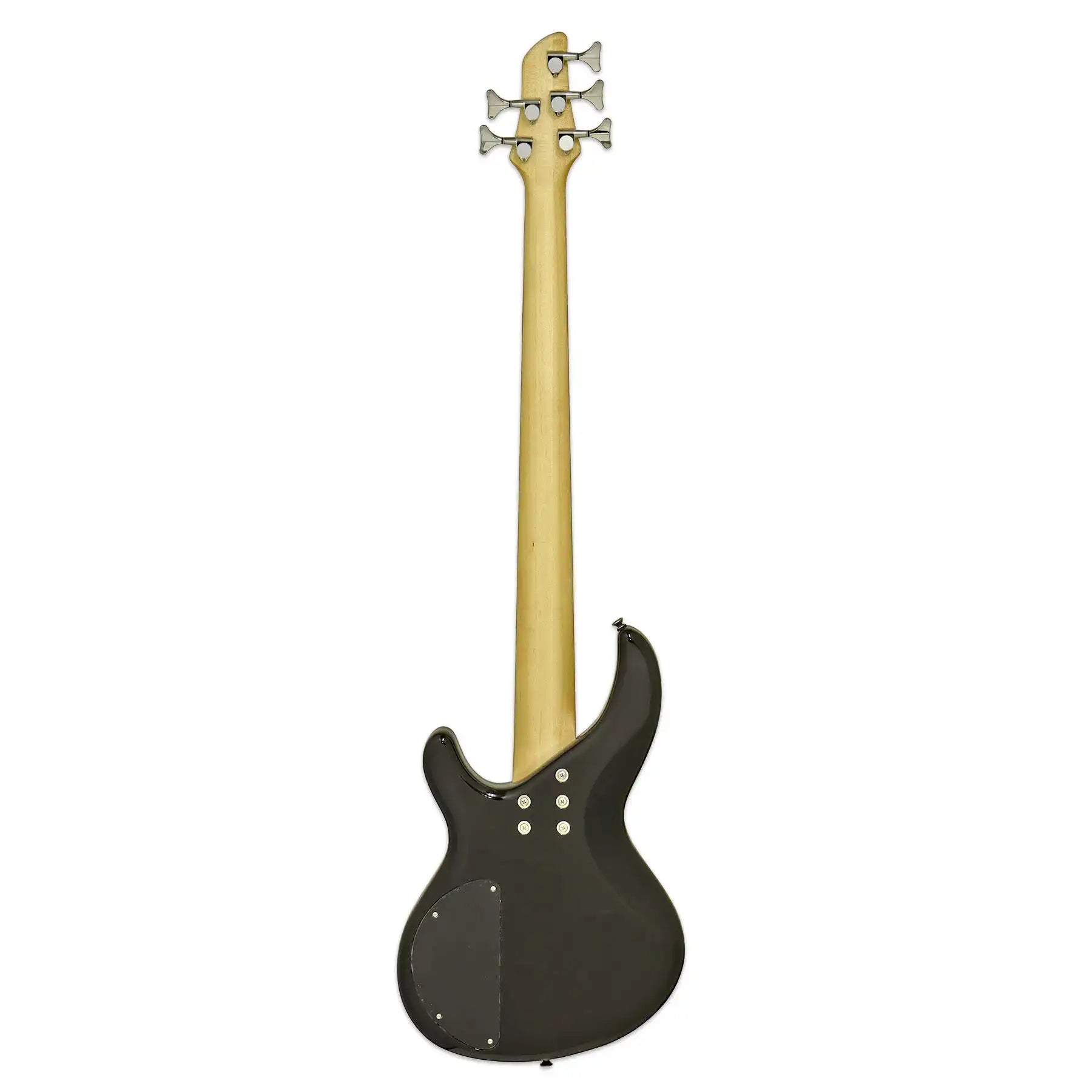 igbstd5_mbk_back_product_1800x1800_59f6d7aa-ab8c-41fb-840f-d51ac03ab628 | Terry Carter Music Store