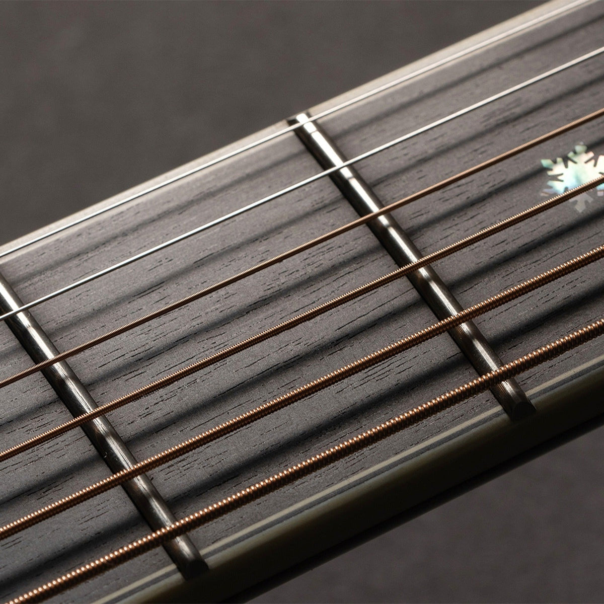 Mirrored from the right-handed model to show the left-handed layout: close-up of the Takamine P10NC fretboard and its inlays.