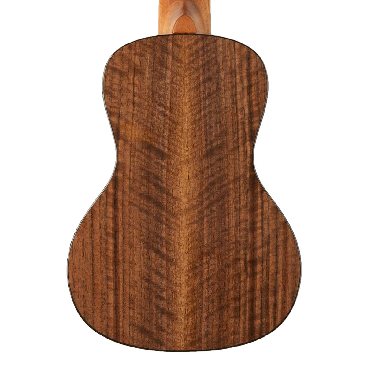 Back of the Kala KA-WCW-BMP-C concert ukulele, solid walnut back with mahogany neck