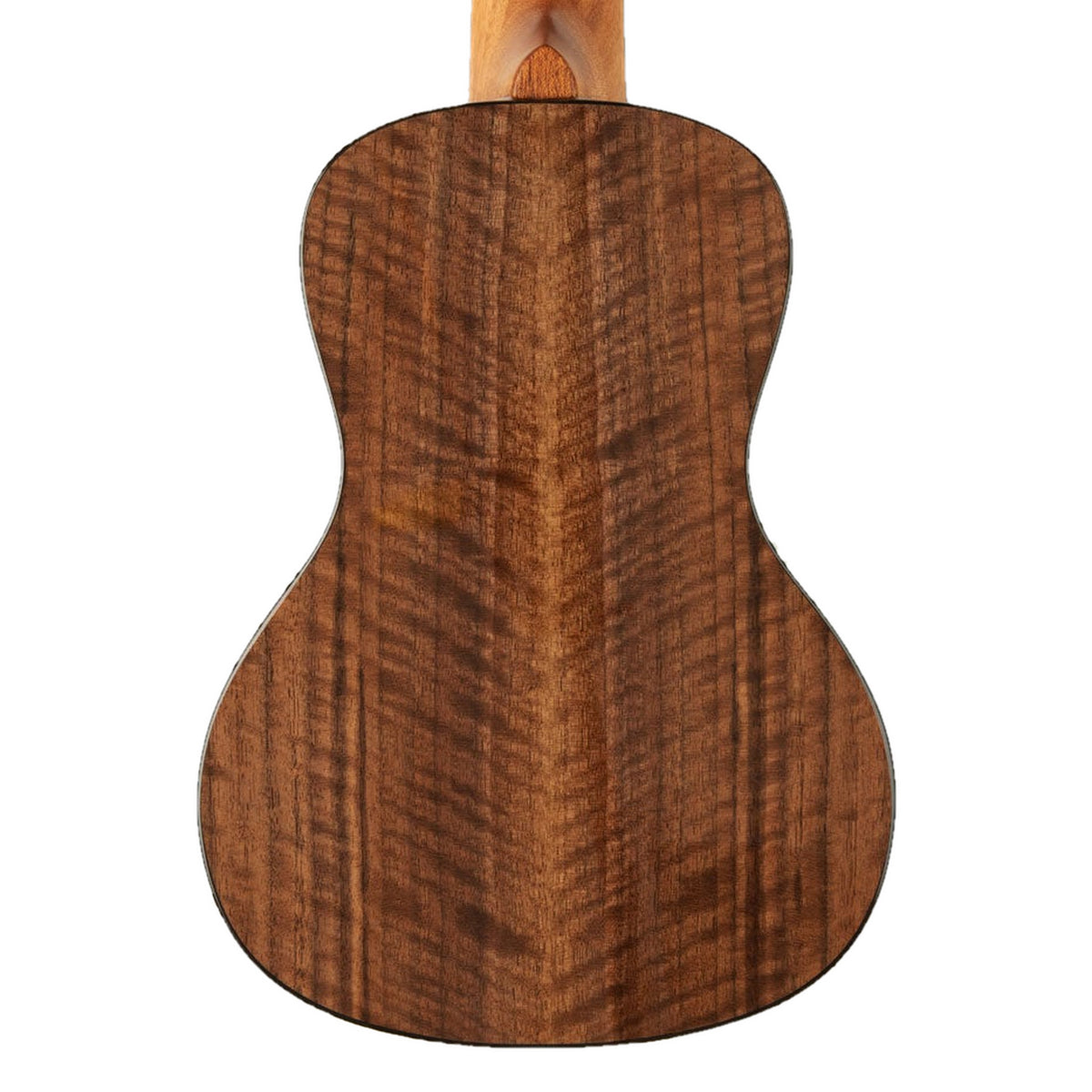 Back of the Kala KA-WCW-MYR-C concert ukulele, solid walnut back with mahogany neck