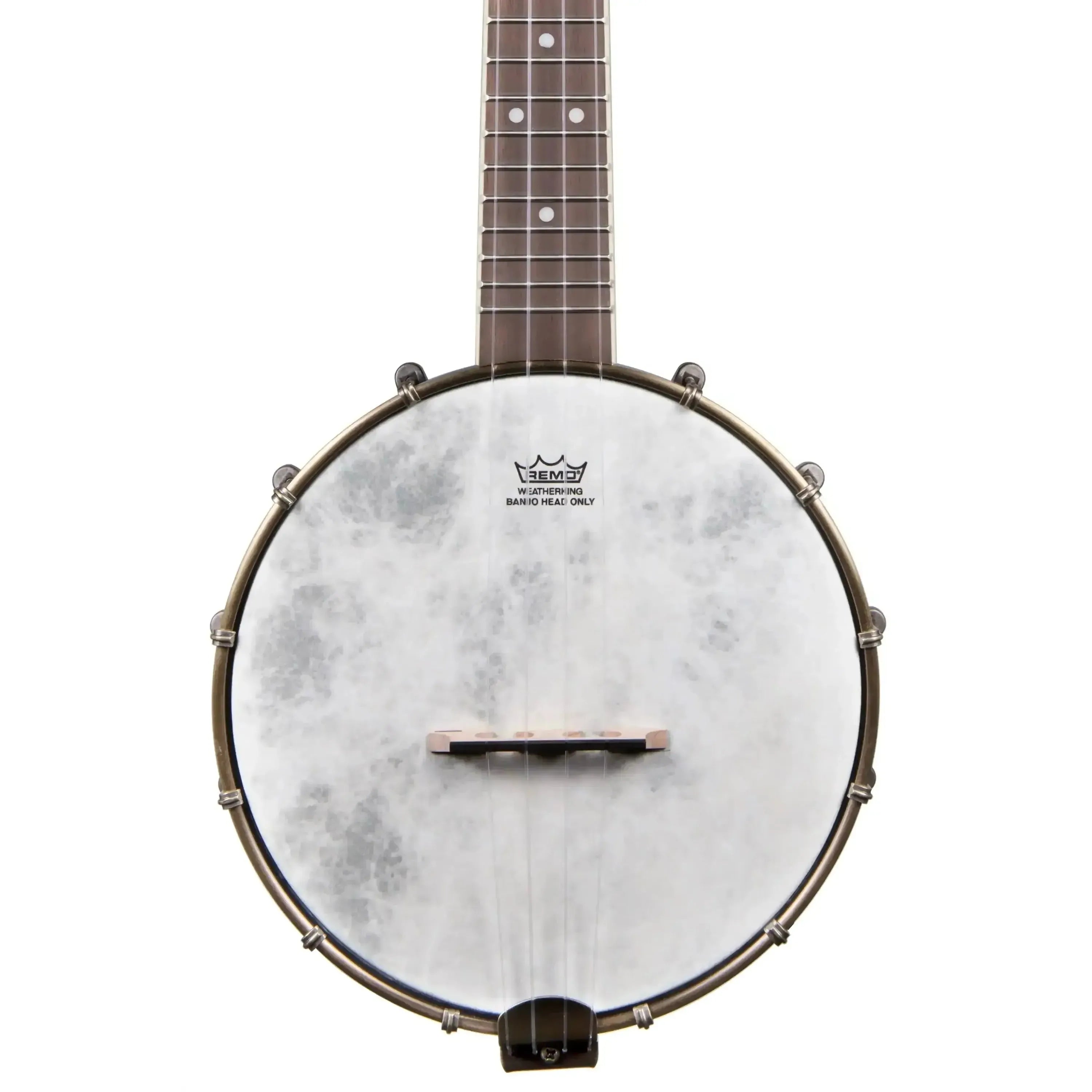 Kala BNJ-C black maple concert banjolele with Remo Weatherking head and walnut fretboard.