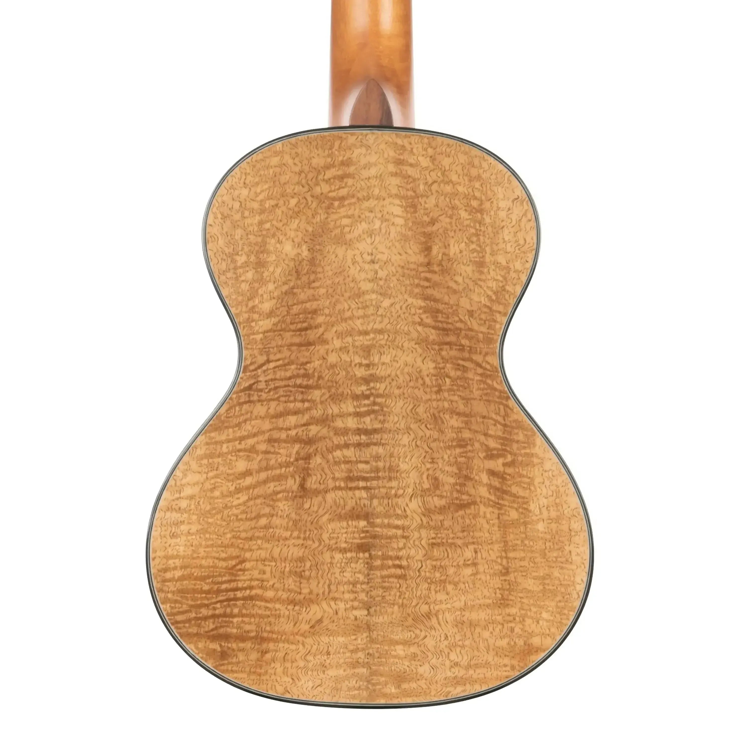 Kala MNGG-C Metropolitan Concert Ukulele back, showing solid curly mango wood with black binding.