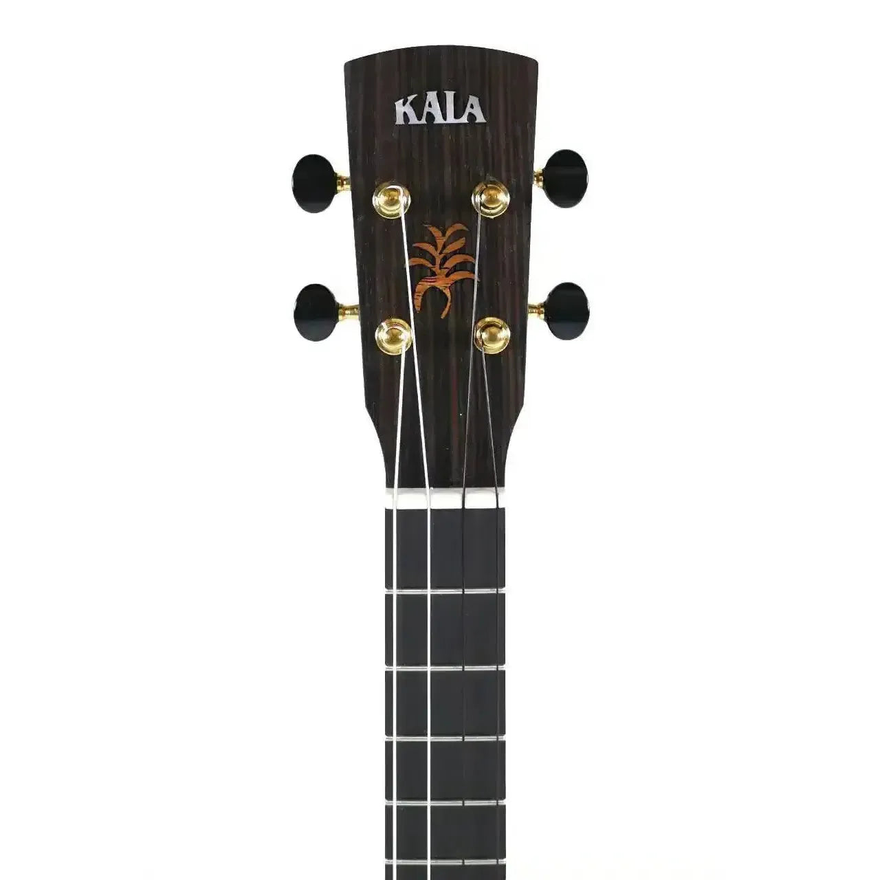 Kala Revelator Nautilus baritone ukulele headstock with ebony finish, gold tuners, and palm tree inlay.