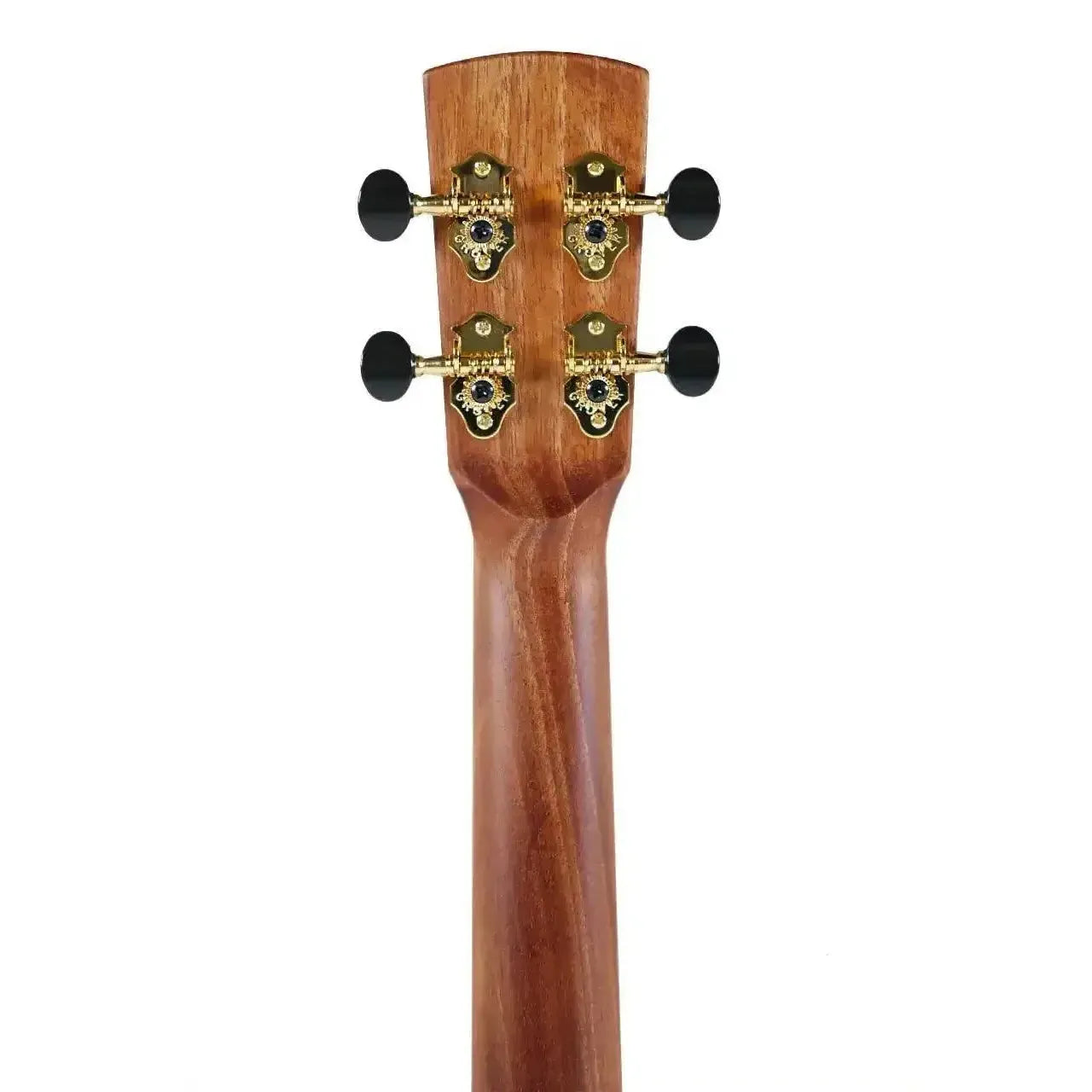 Back of Kala Revelator Nautilus Baritone Ukulele headstock with gold Grover tuners and mahogany neck.
