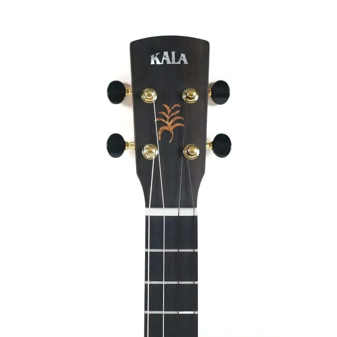 Kala Revelator Nautilus Tenor Ukulele headstock with gold tuners and palm inlay.