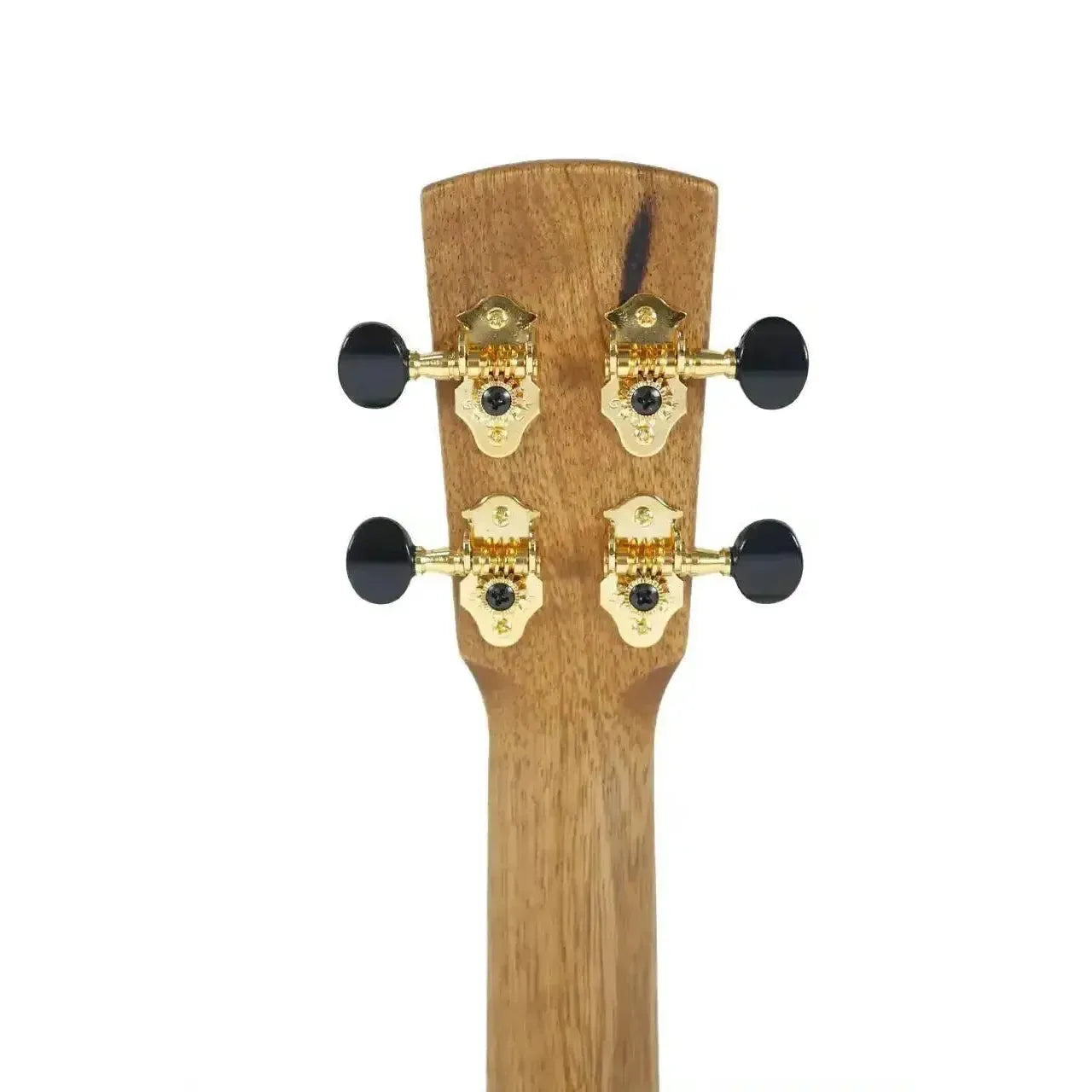 Kala Revelator Nautilus Mastergrade Korina Tenor Ukulele headstock with gold tuners and black buttons.