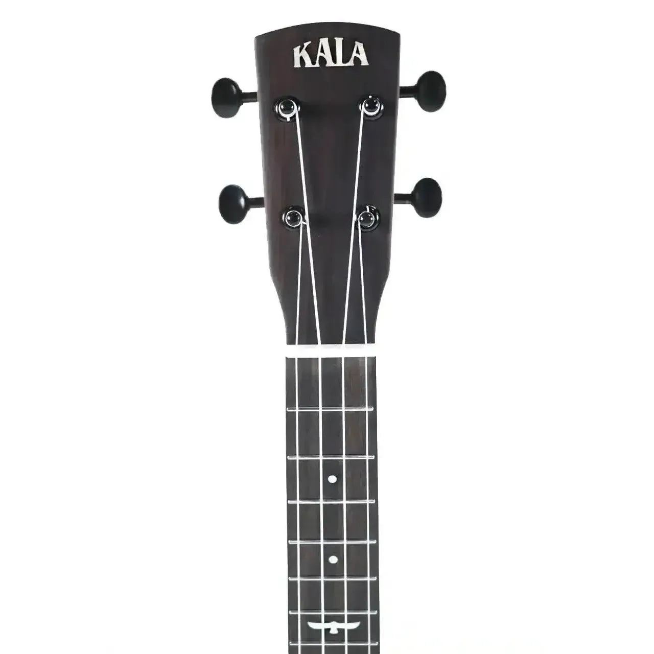 Kala Revelator Night Owl Acacia Tenor Ukulele headstock with dark wood, black tuners, and white logo.
